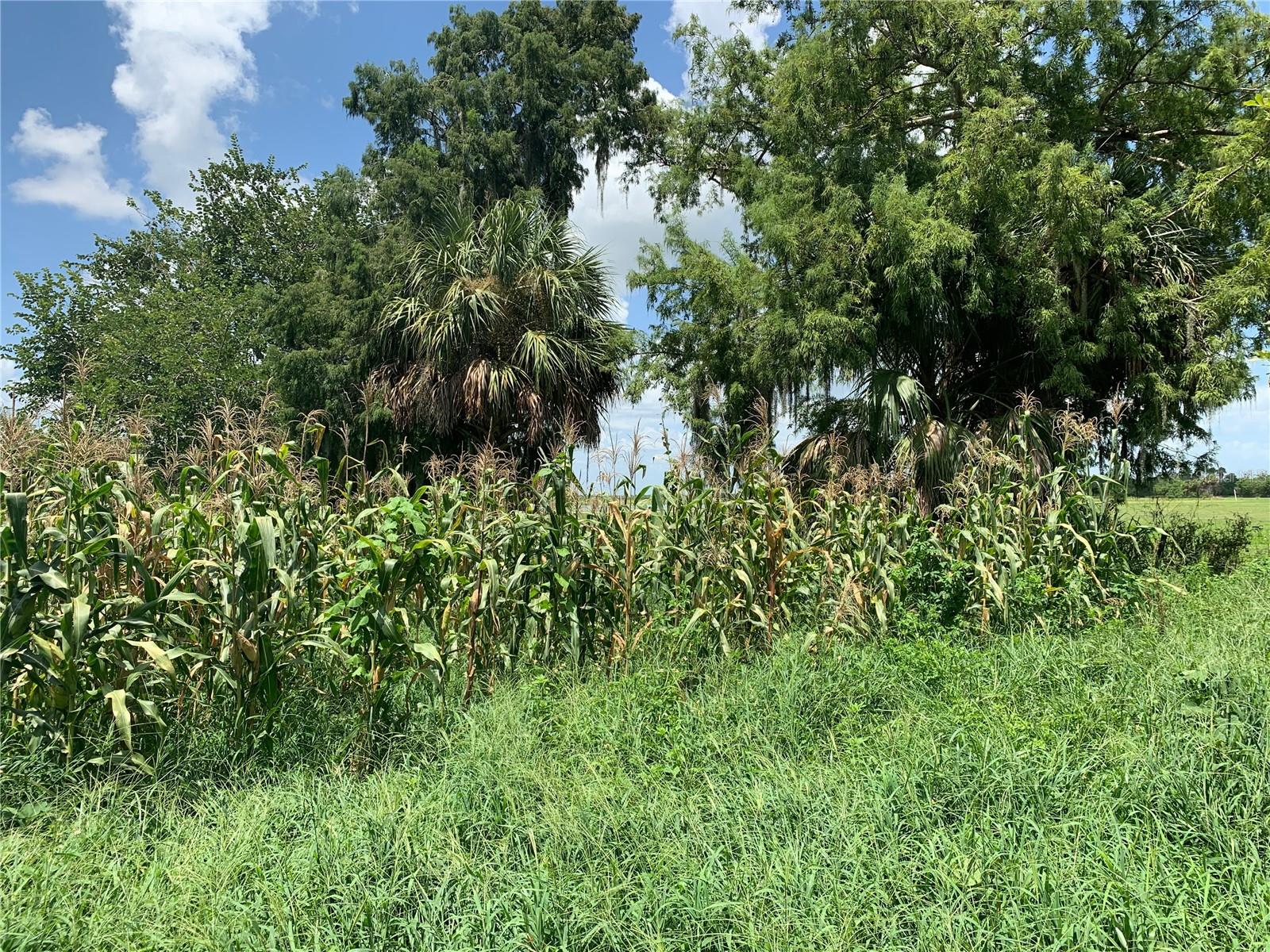 Image 9 of 10 For 14455 State Road 78