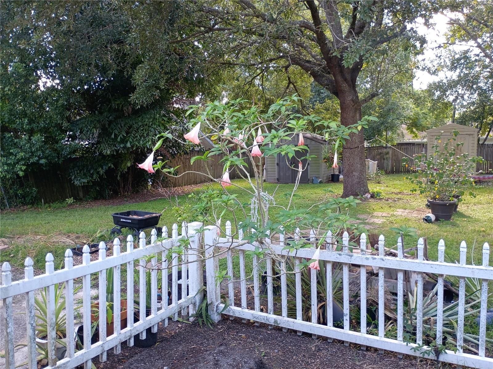 Image 34 of 38 For 262 Clara Vista Street