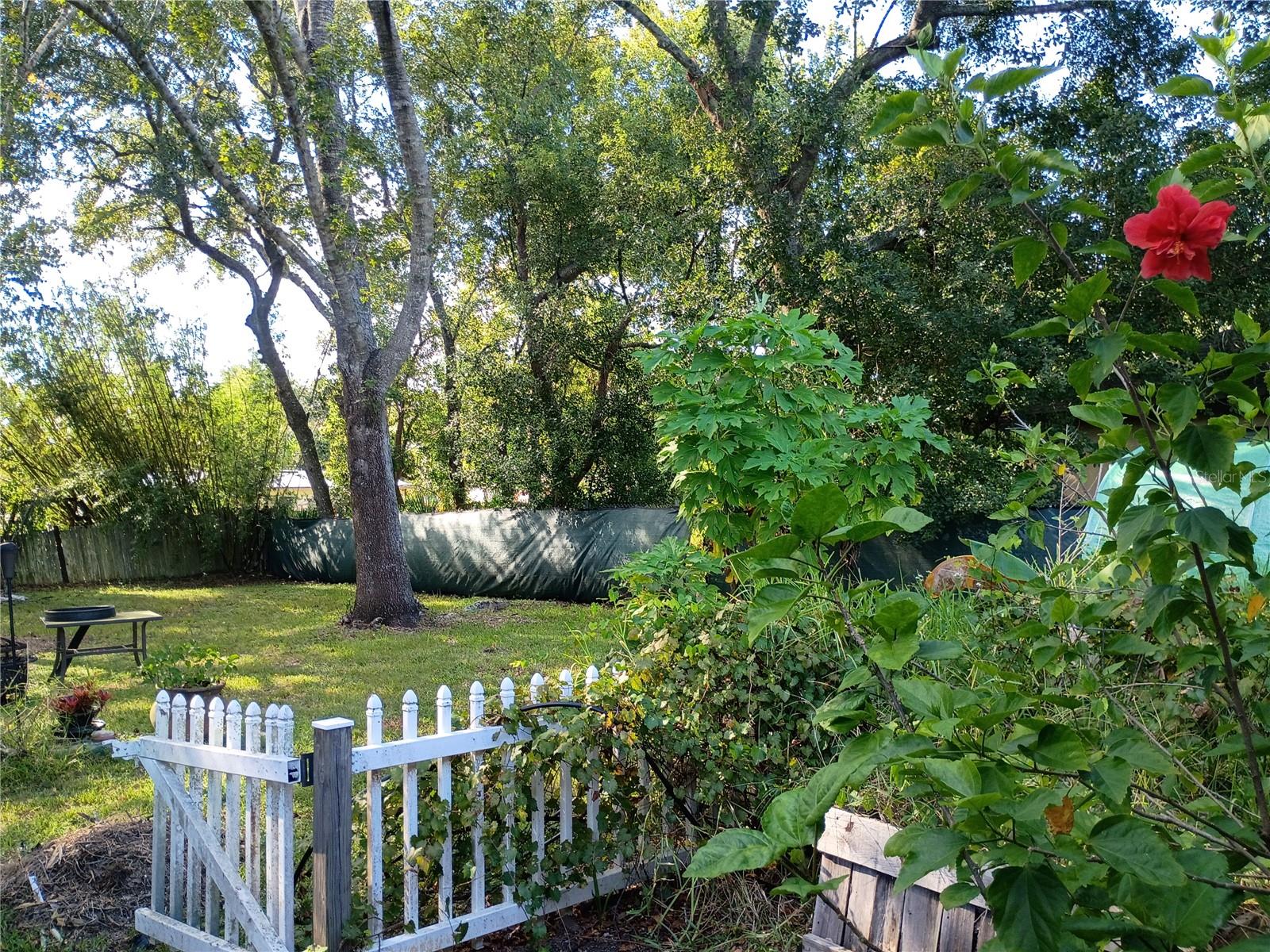 Image 36 of 38 For 262 Clara Vista Street