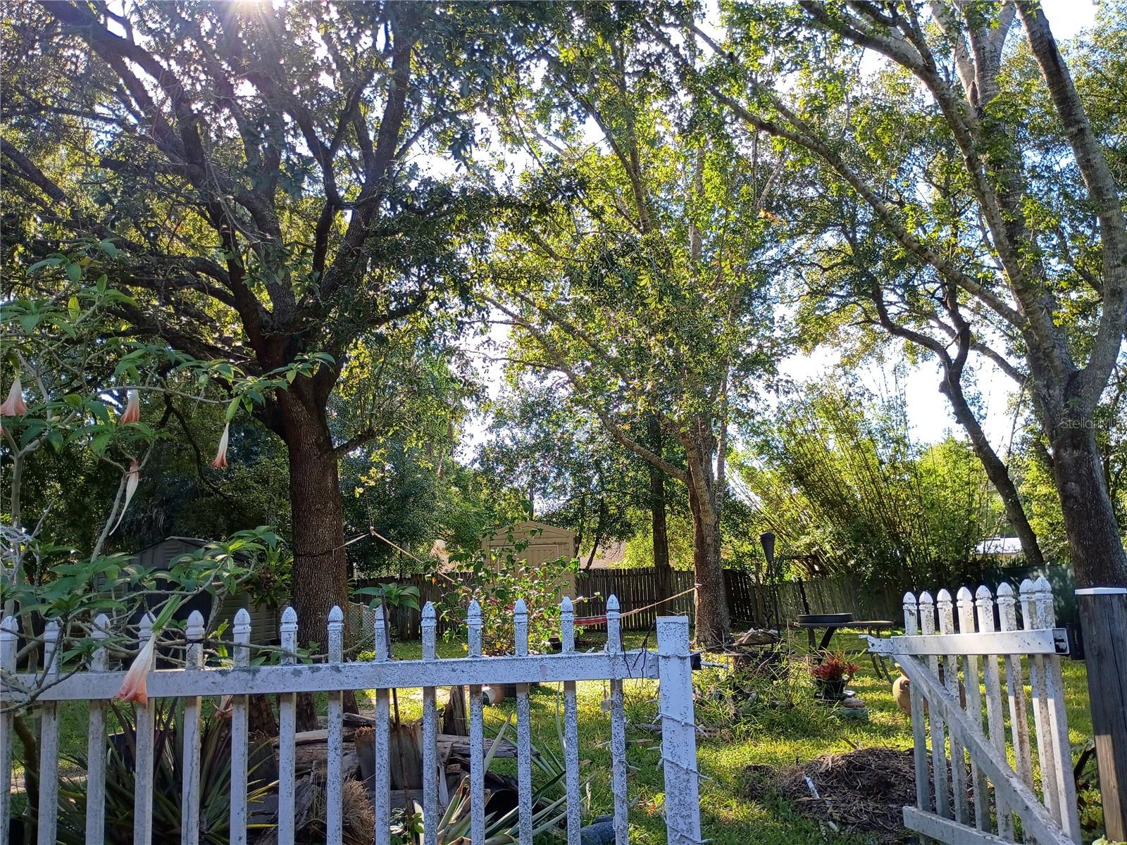 Image 37 of 38 For 262 Clara Vista Street