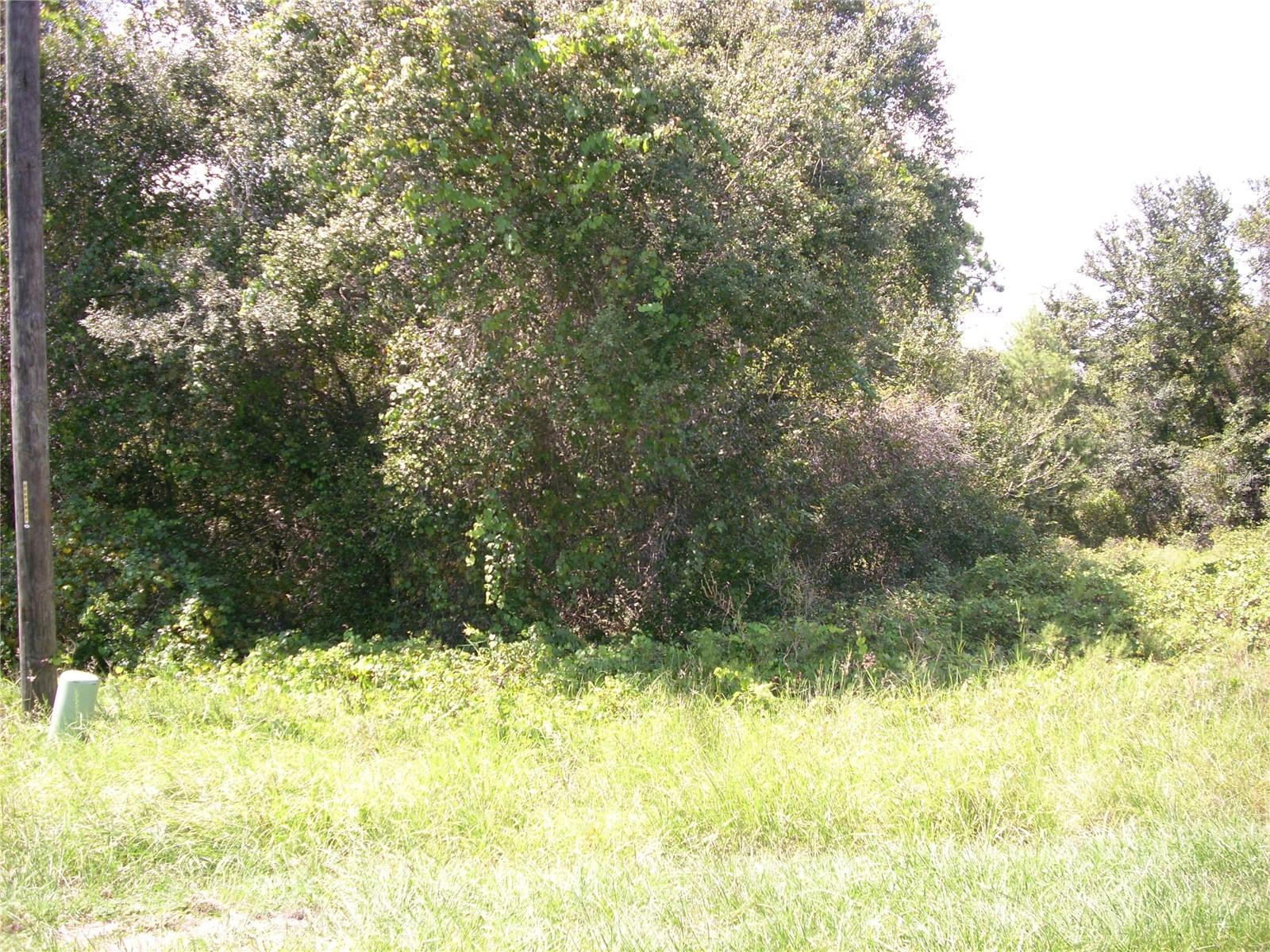 Image 2 of 5 For 1343 Congo Court