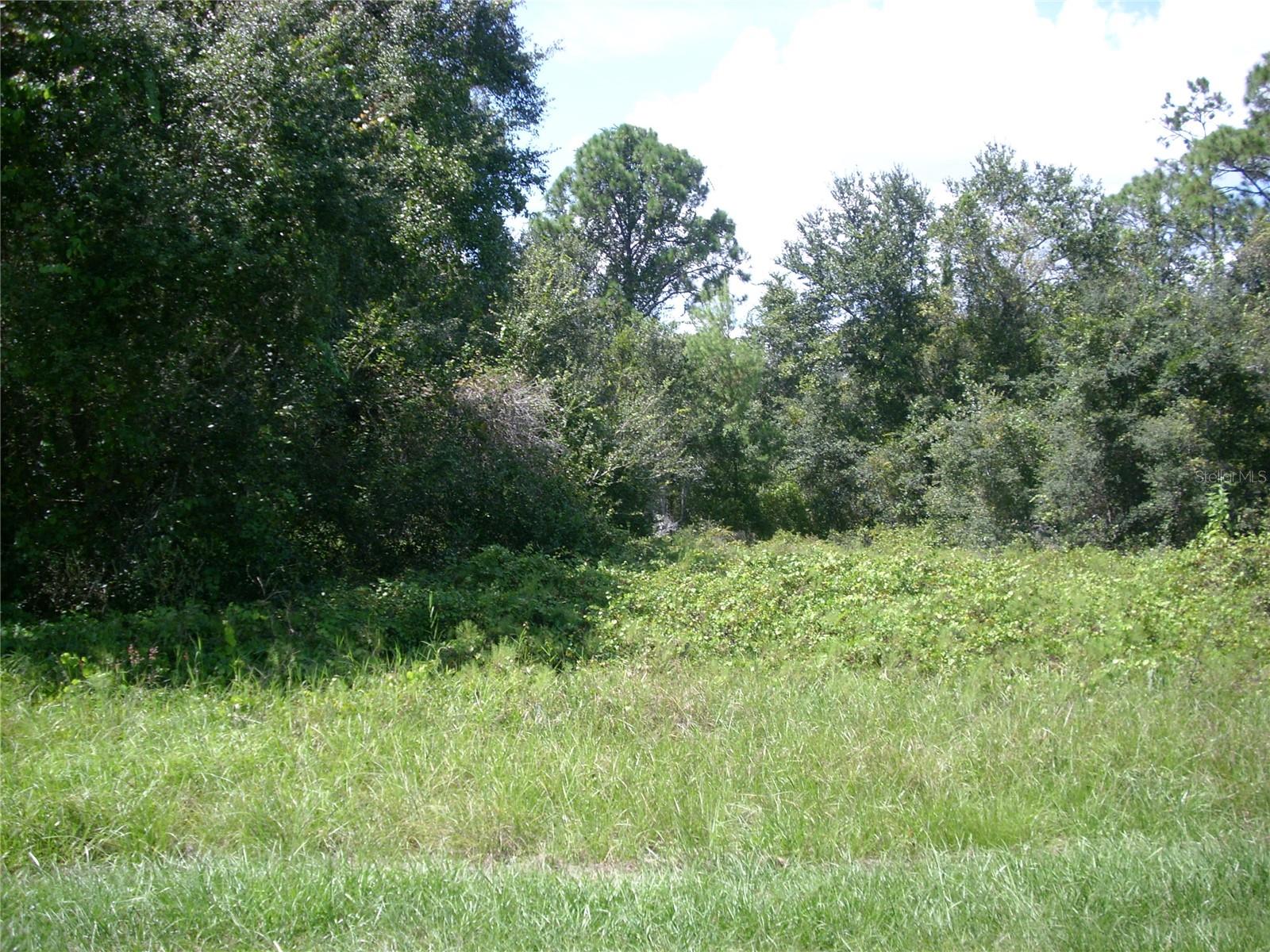 Image 3 of 5 For 1343 Congo Court