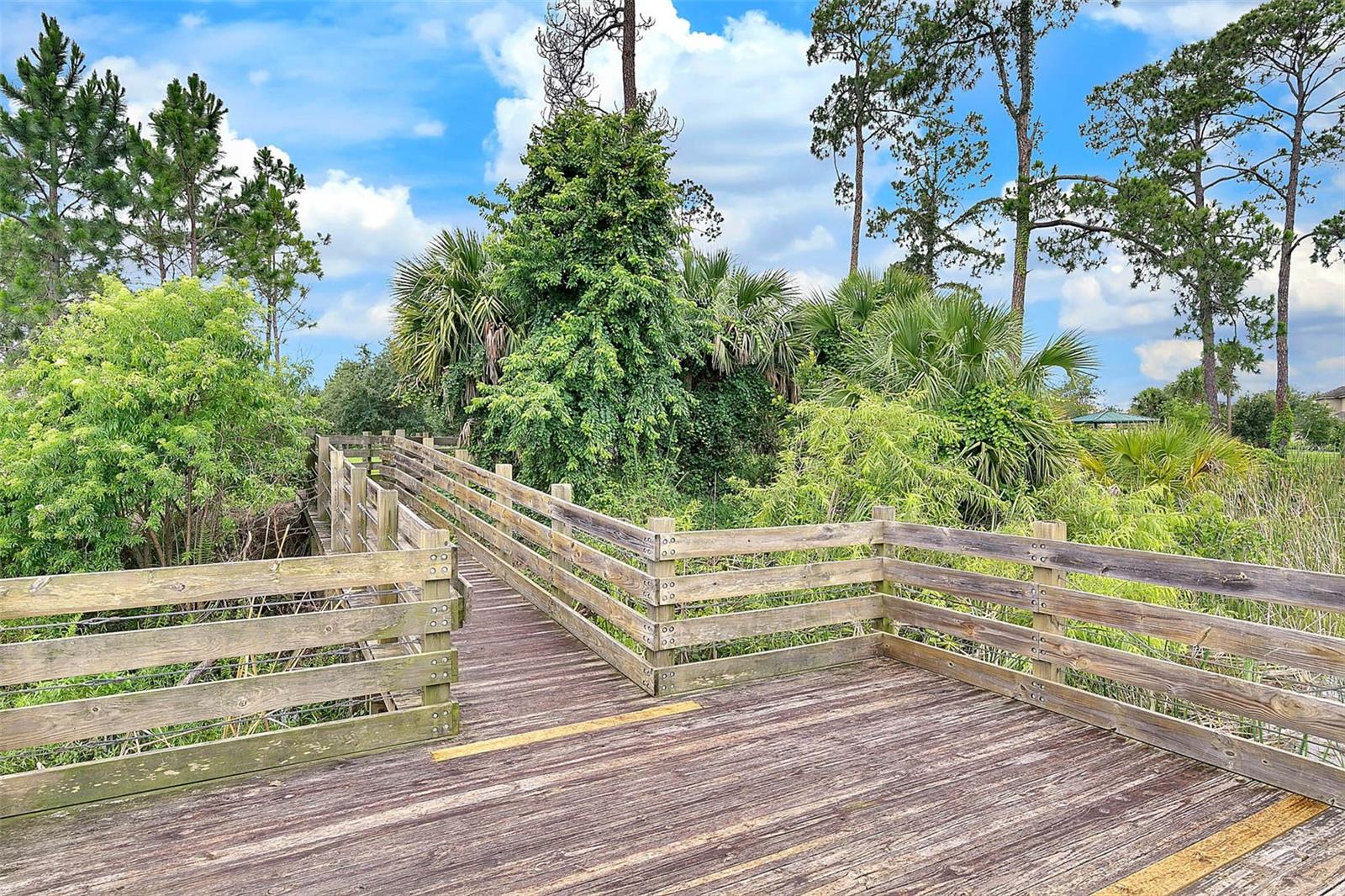 Image 69 of 94 For 7417 Lake Albert Drive