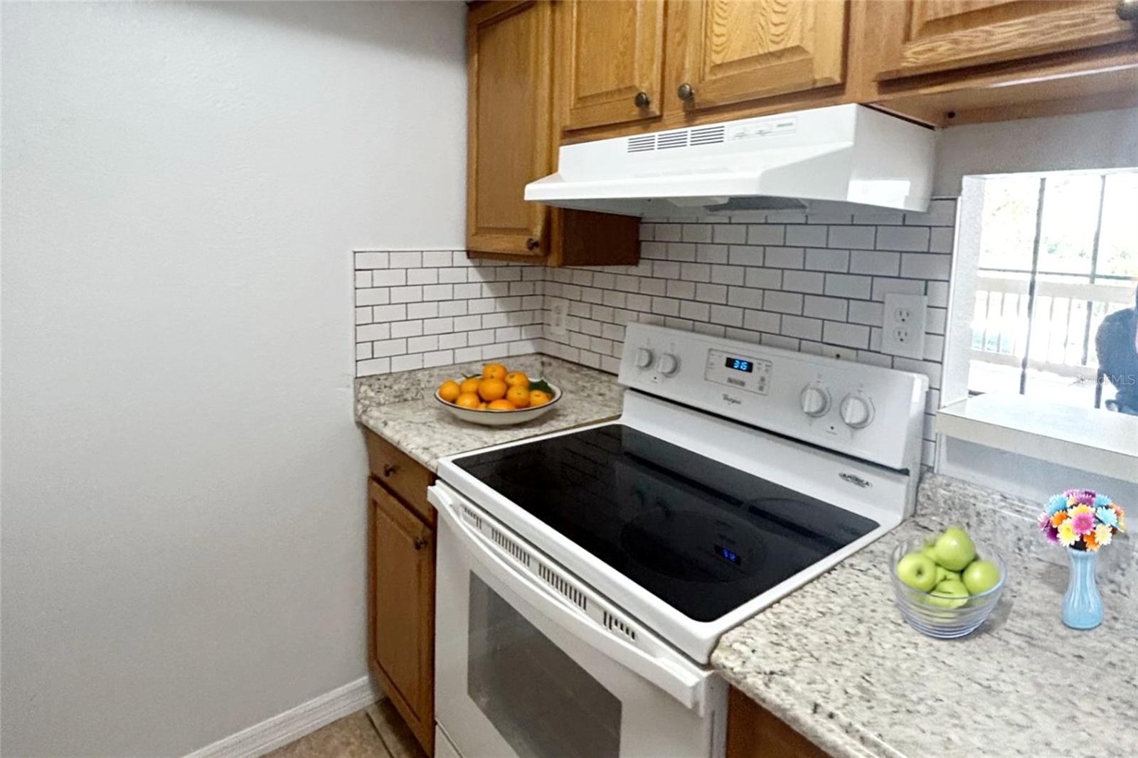 Image 4 of 16 For 1040 Buena Vista Drive 1033