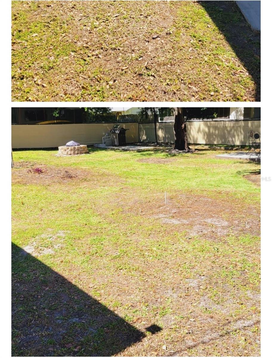 Image 21 of 25 For 916 Palm Avenue