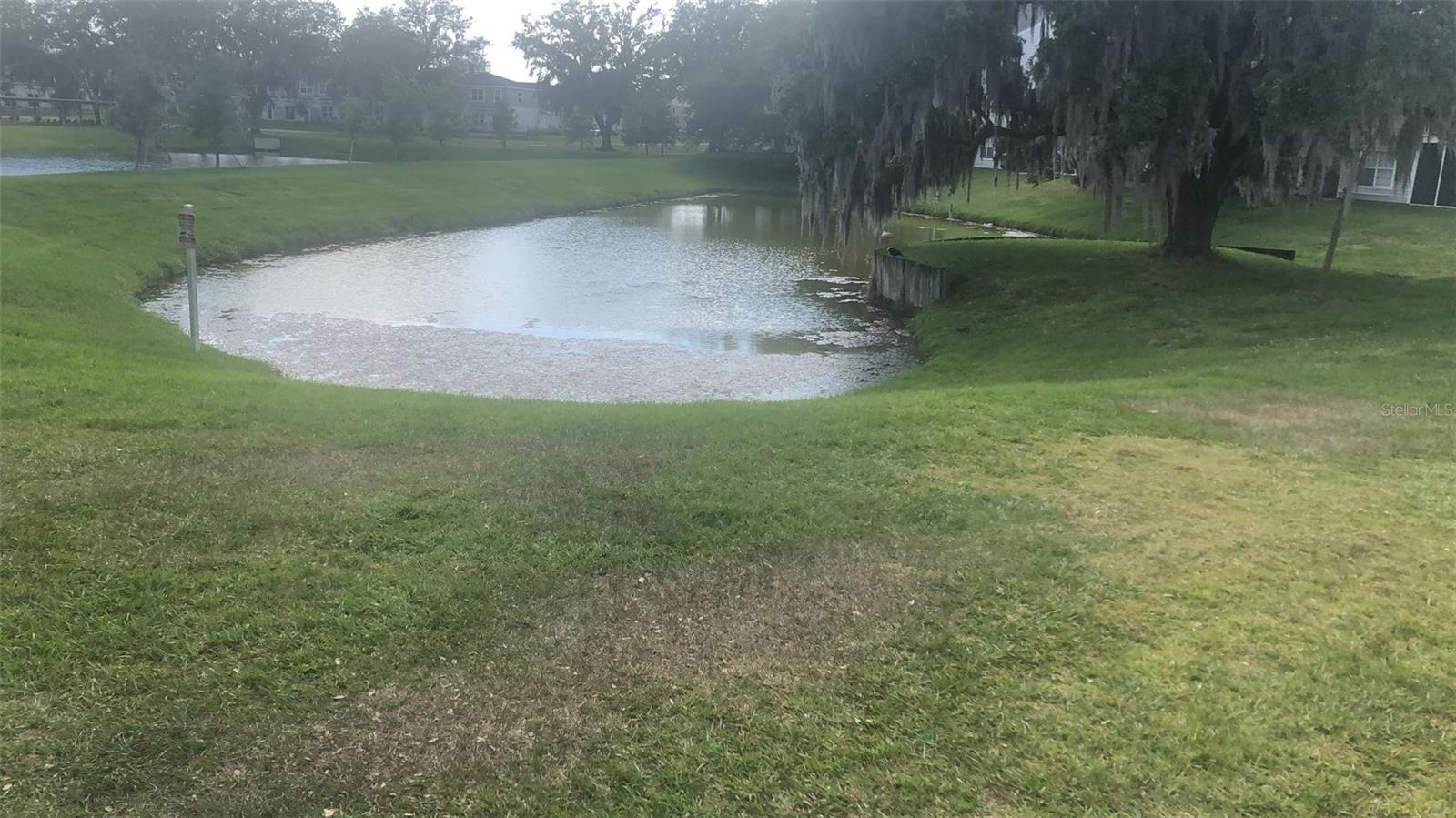 Image 14 of 17 For 1218 Bermuda Lakes Lane 108