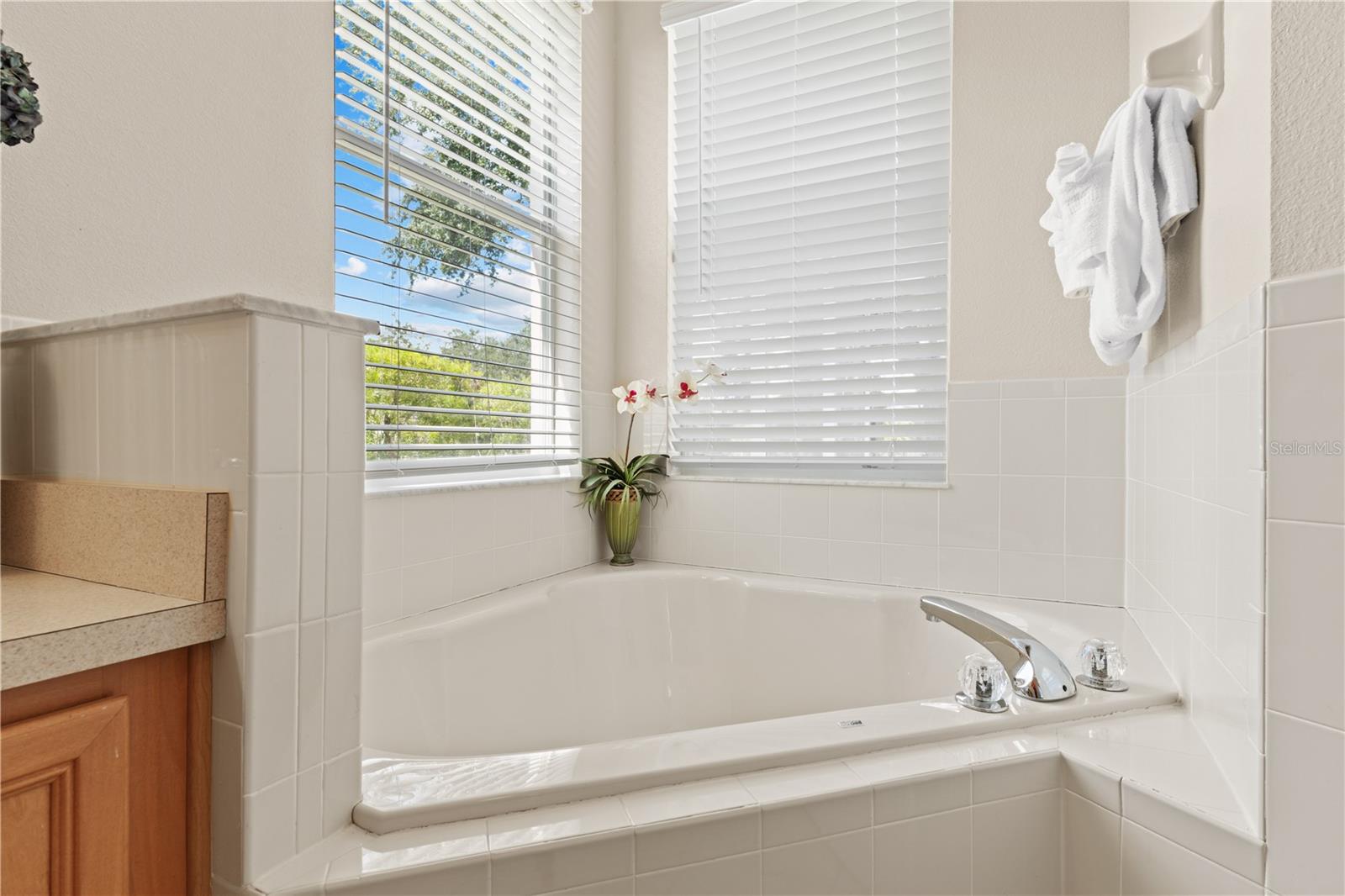 Image 17 of 51 For 182 Minniehaha Circle