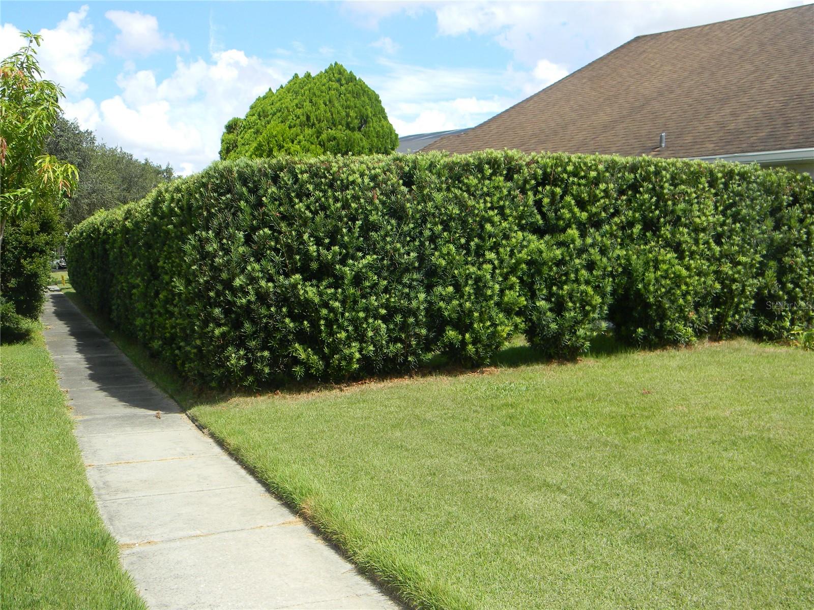 Image 43 of 52 For 2318 Laurel Pine Lane