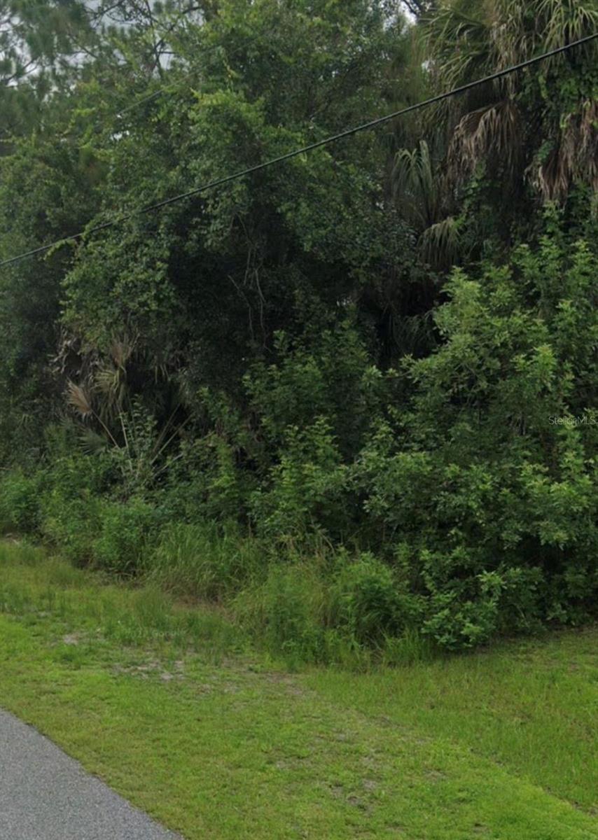 Image 2 of 4 For Apollo Avenue