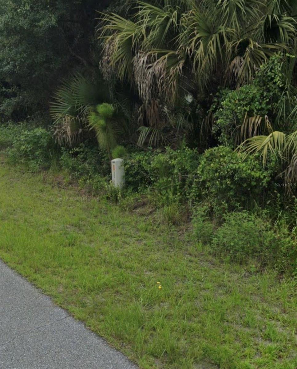 Image 4 of 4 For Apollo Avenue