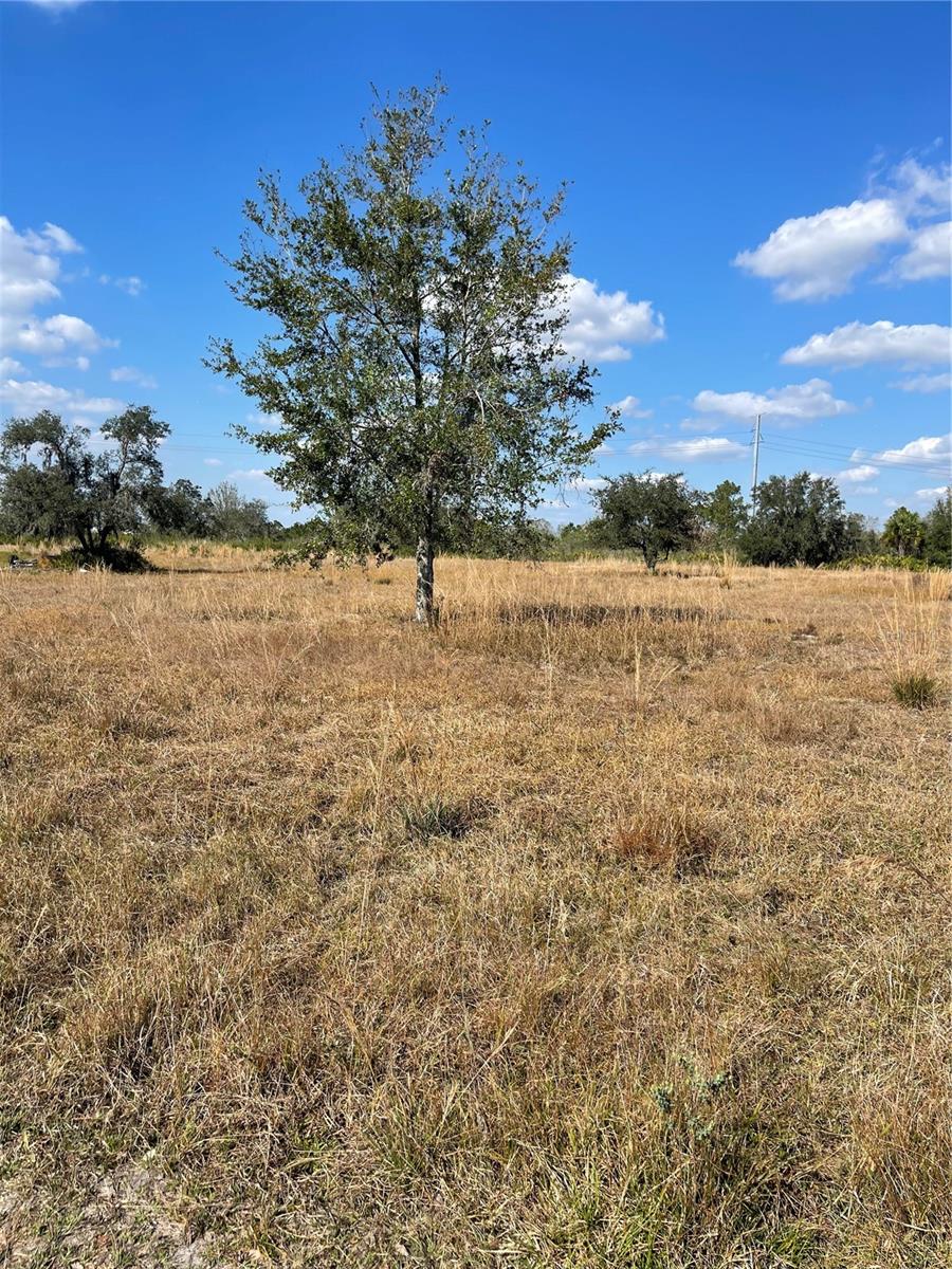 Details for Hammermill Avenue, LAKE WALES, FL 33859