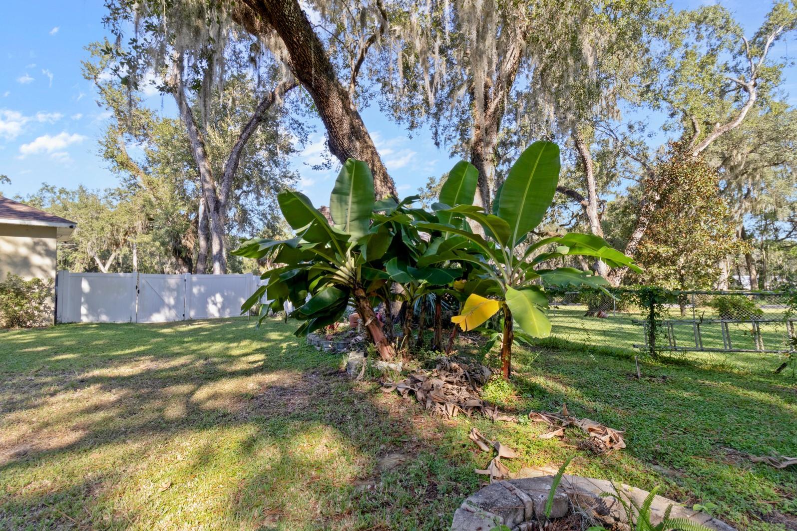 Image 42 of 44 For 34300 Mcwhorter Avenue