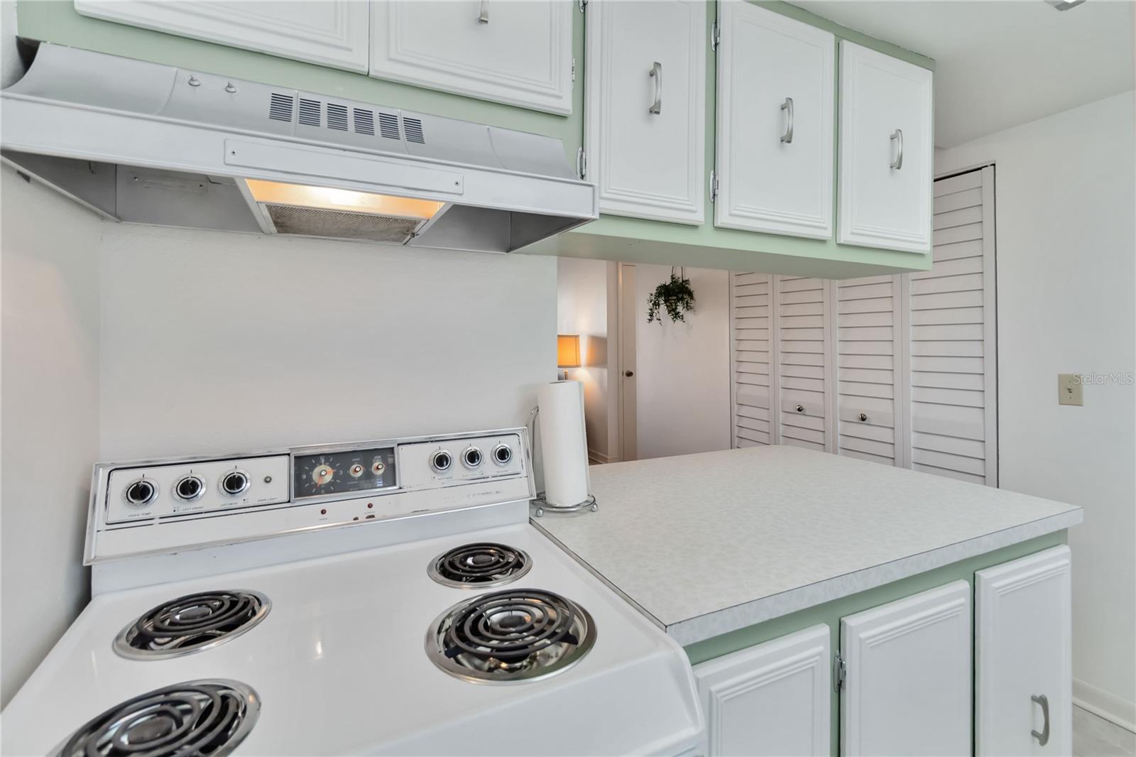 Image 16 of 34 For 4718 Kilt Court 66