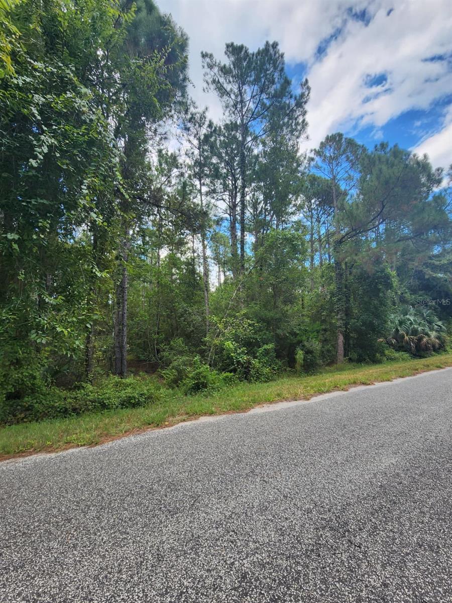 Image 2 of 5 For Quince Avenue