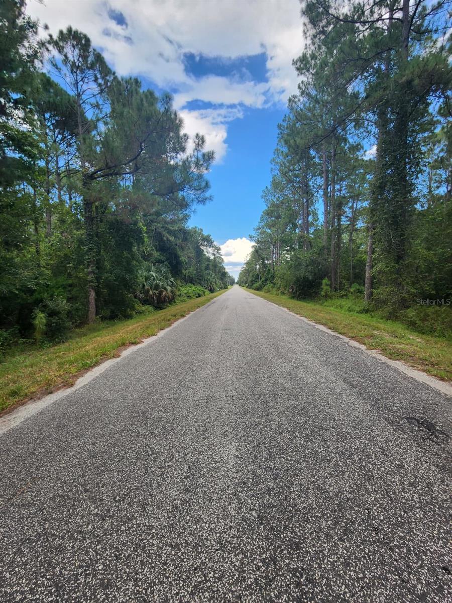 Image 3 of 5 For Quince Avenue