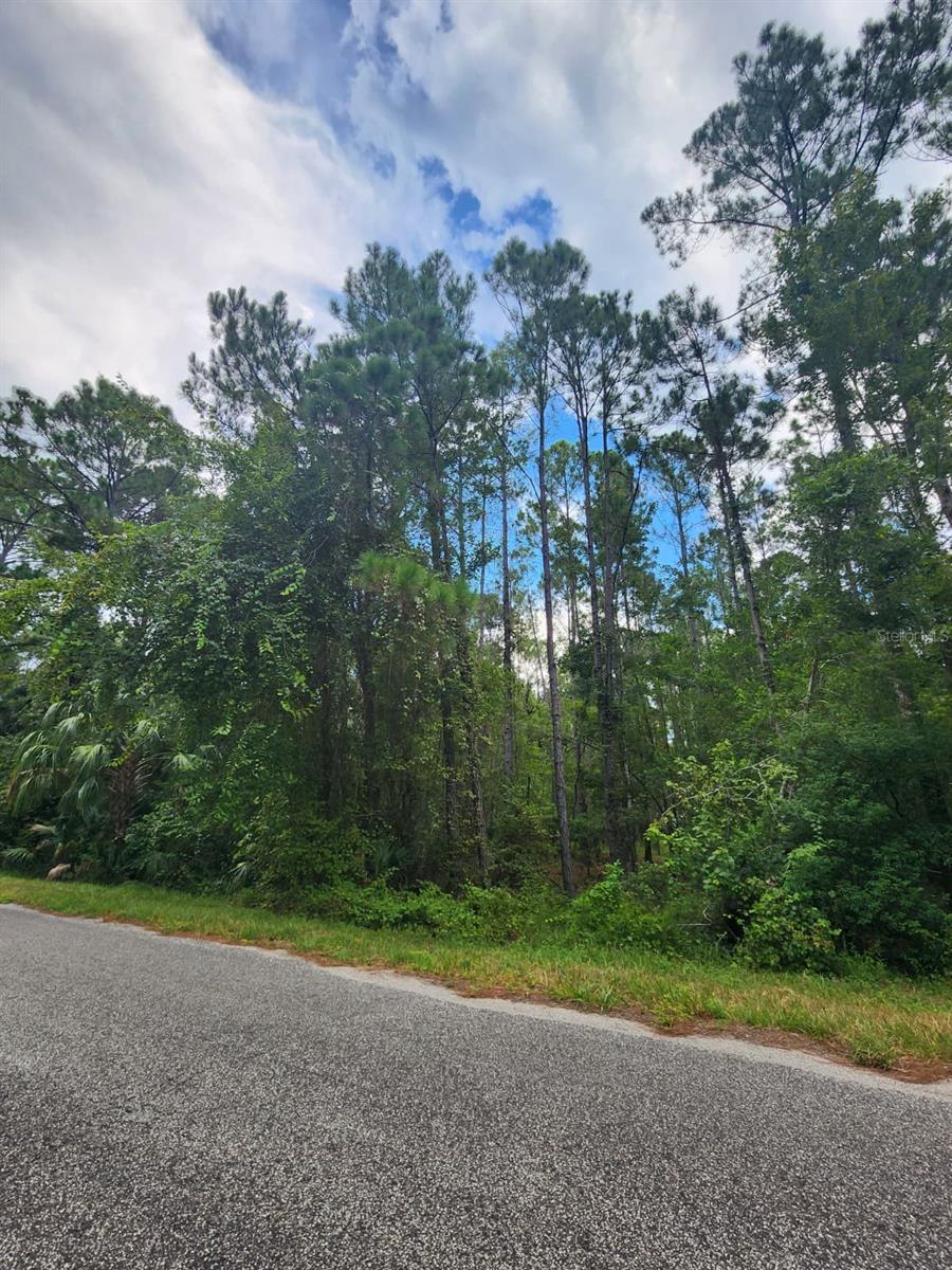 Image 4 of 5 For Quince Avenue