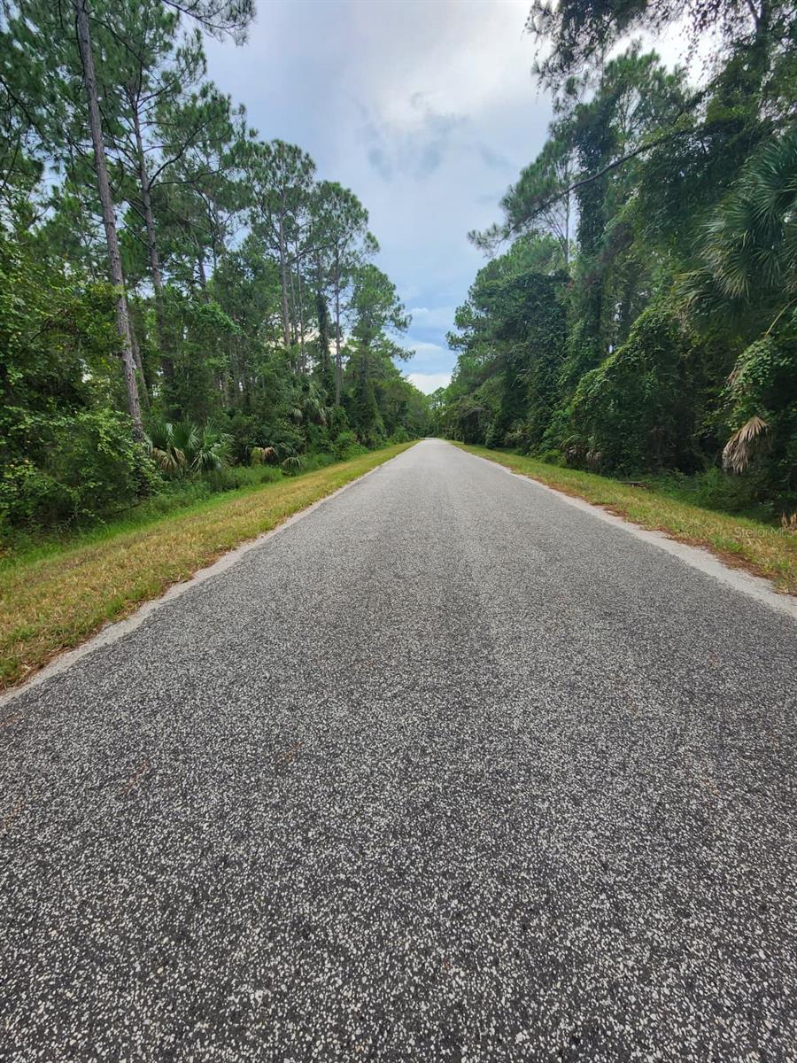 Image 5 of 5 For Quince Avenue