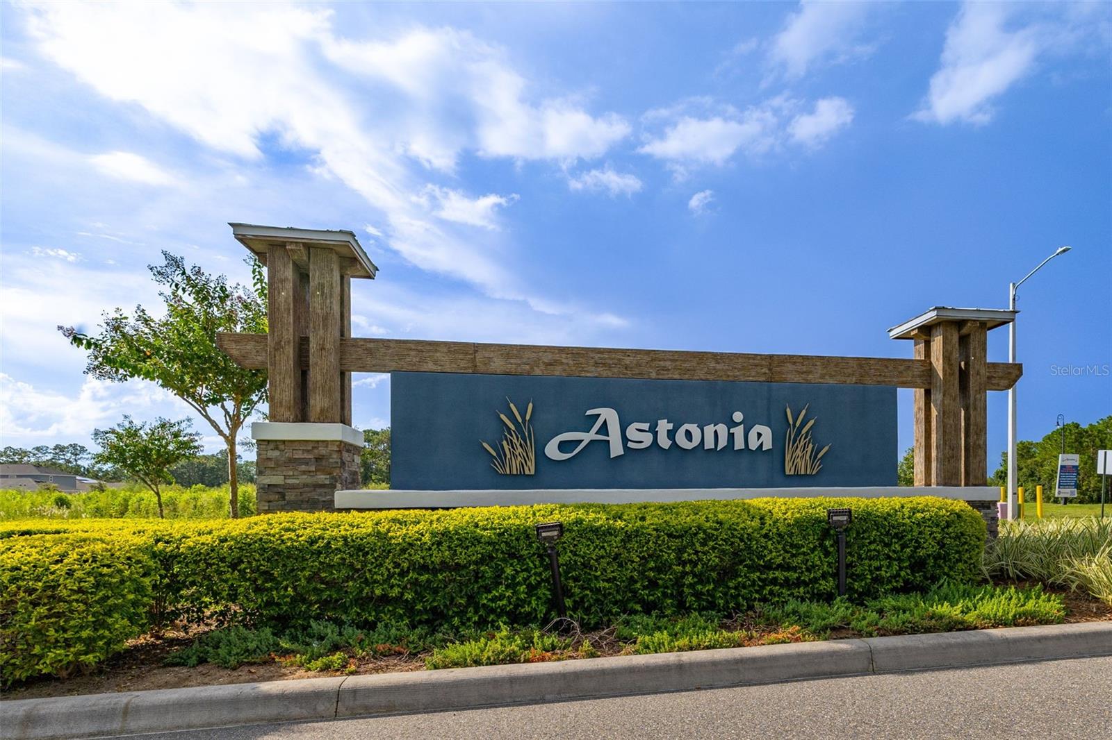 Image 52 of 59 For 459 Lily Lane