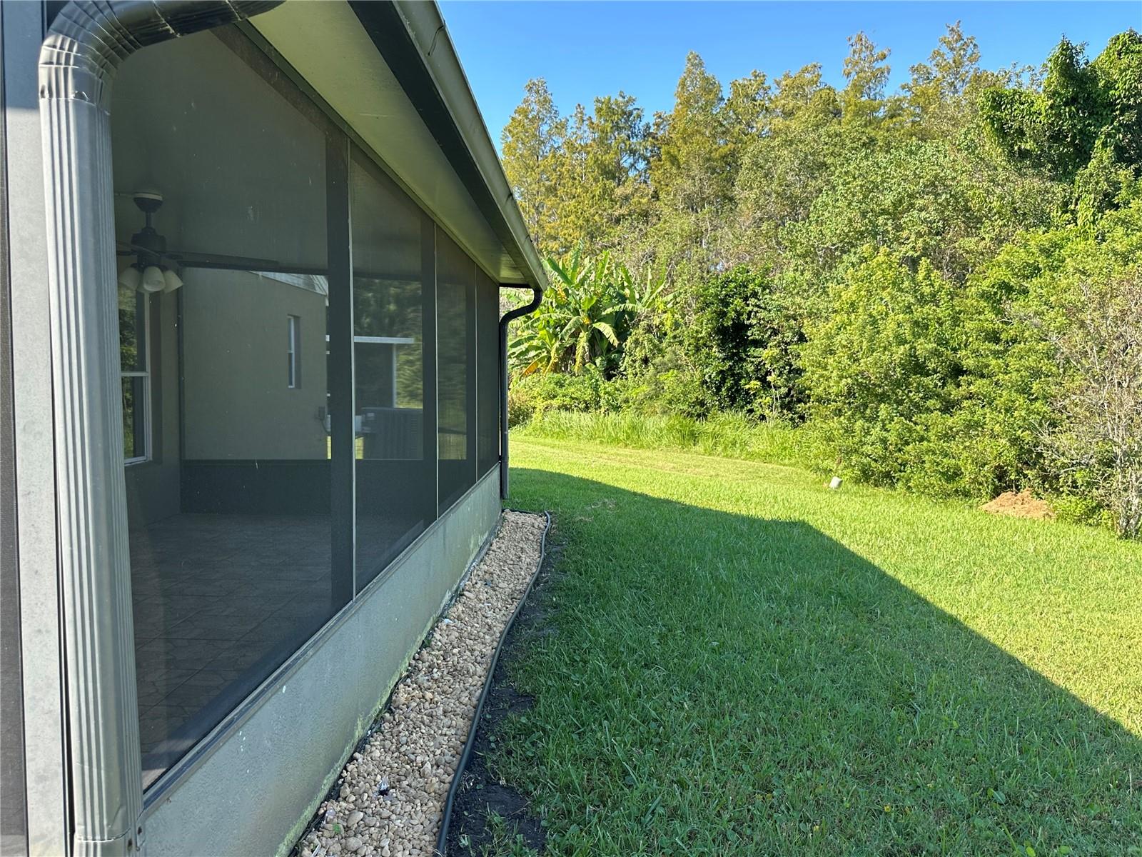 Image 27 of 35 For 3217 Whooping Crane Run