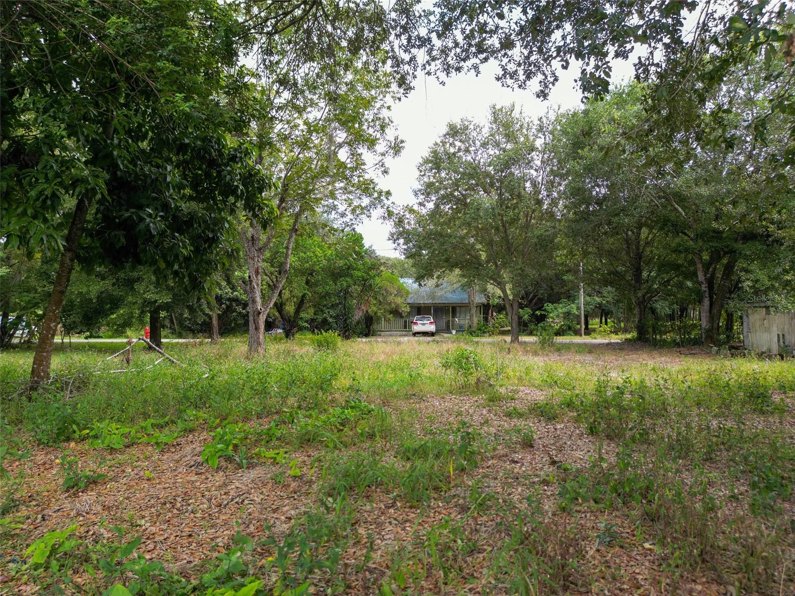 Image 3 of 5 For 302 Pine Street