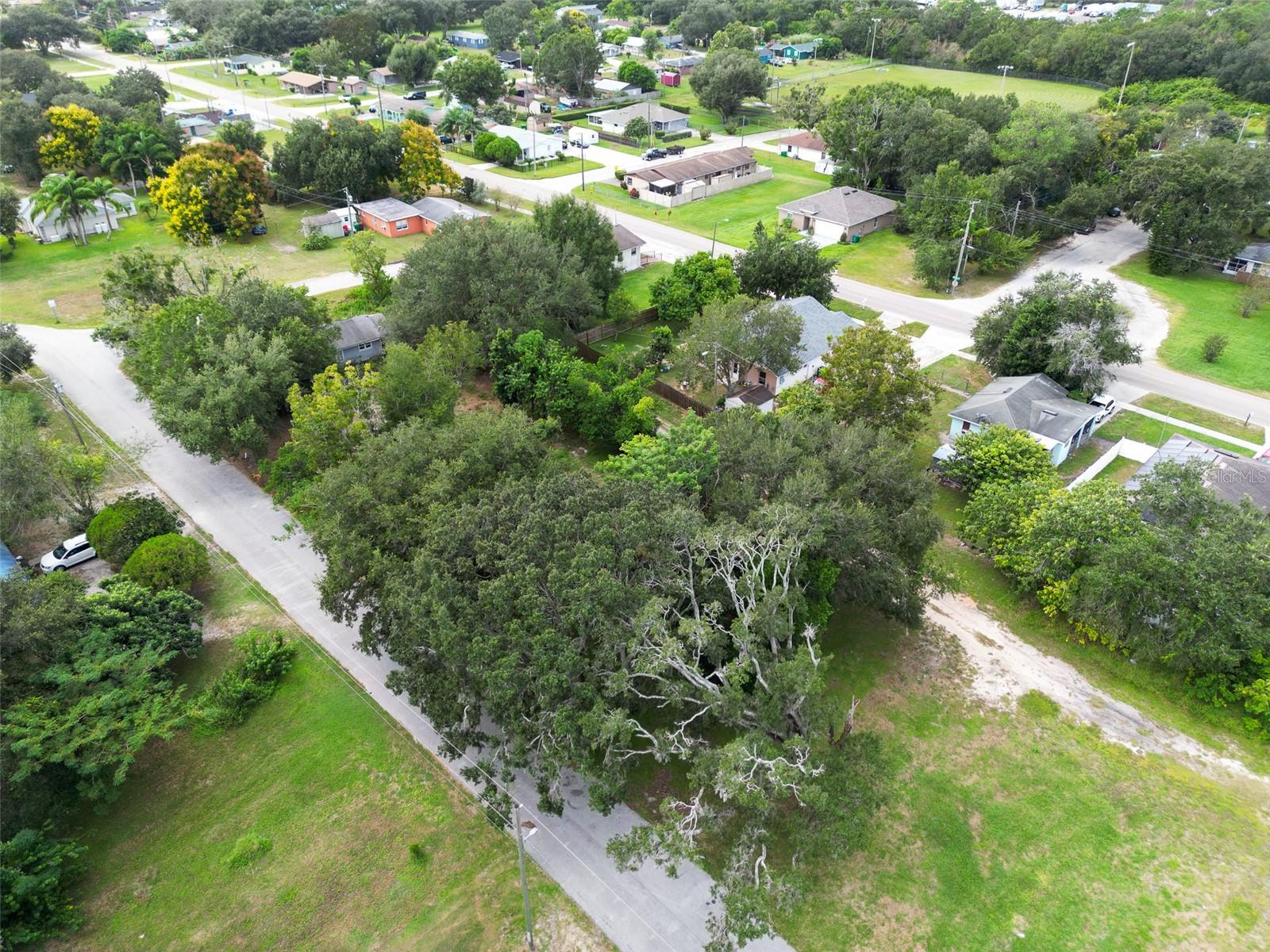 Image 5 of 5 For 302 Pine Street