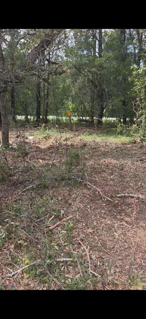 Image 2 of 12 For  112 Place 