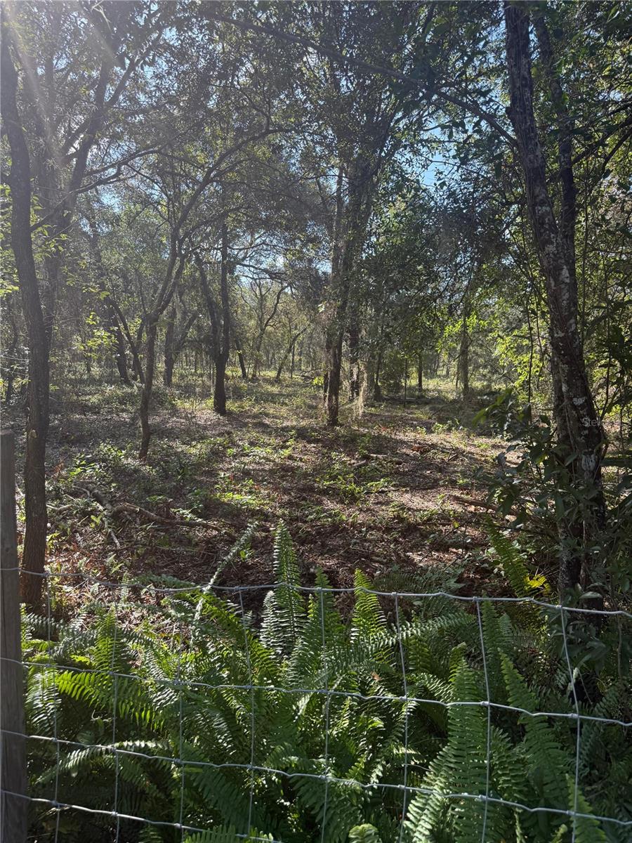 Image 4 of 12 For  112 Place 