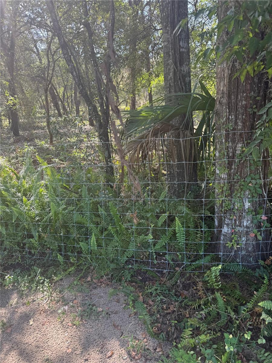 Image 9 of 12 For  112 Place 