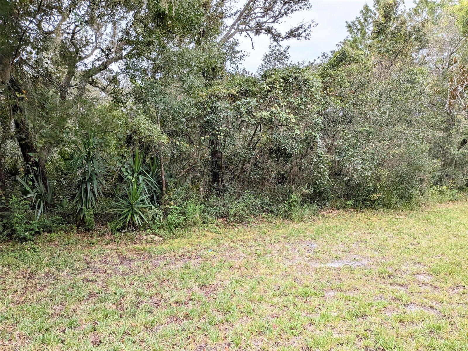 Image 12 of 38 For 1123 Chervil Drive