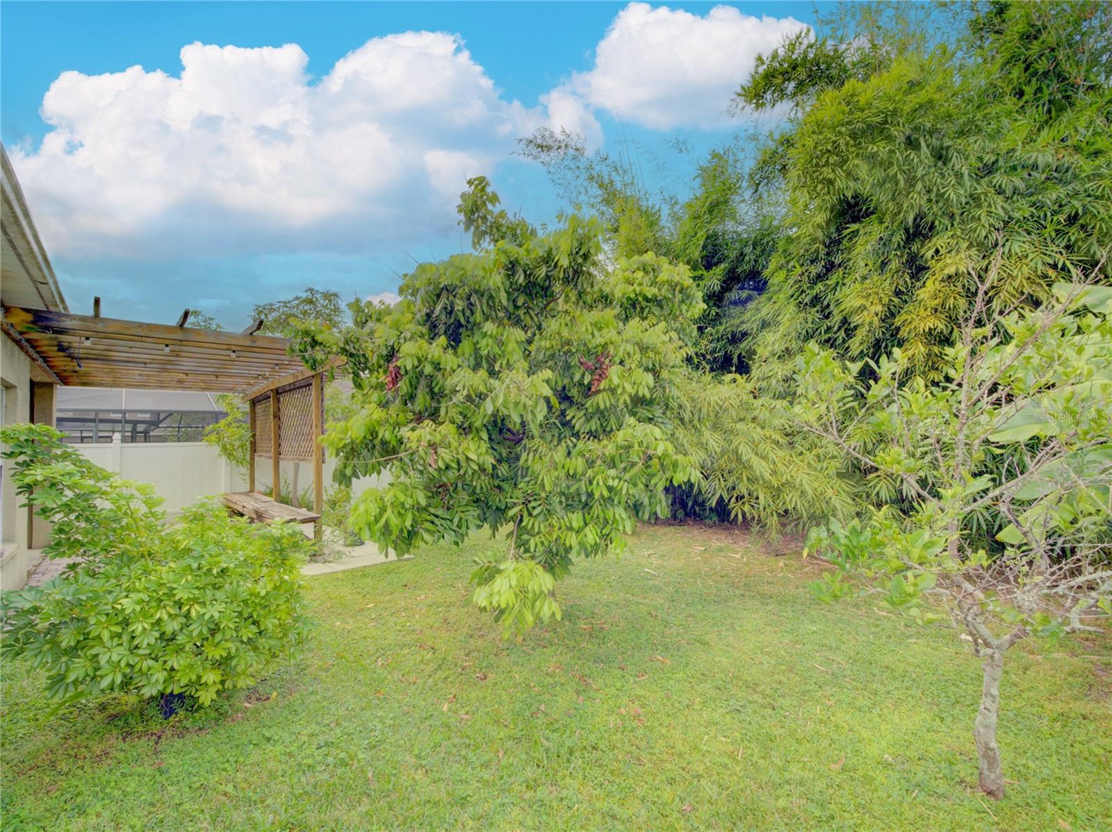 Image 19 of 32 For 1964 Canoe Creek Falls Drive