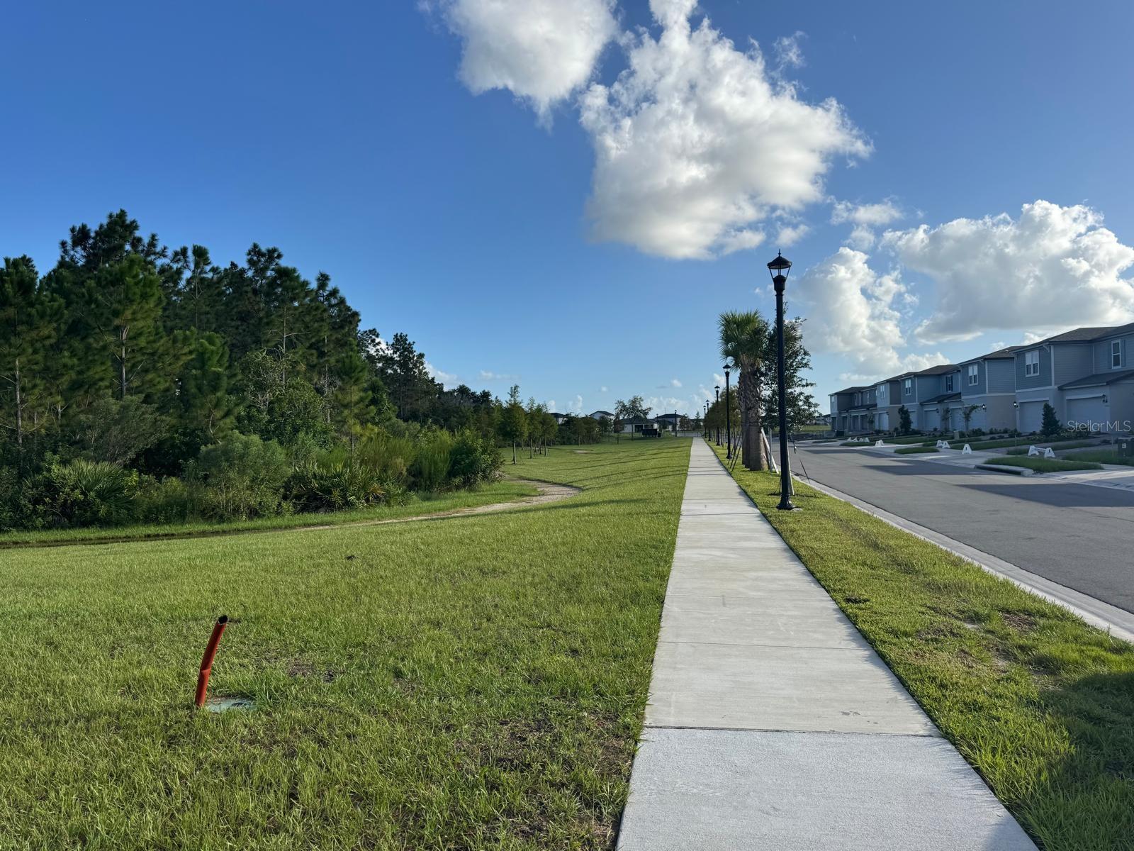 Image 3 of 35 For 4269 Ranch House Road