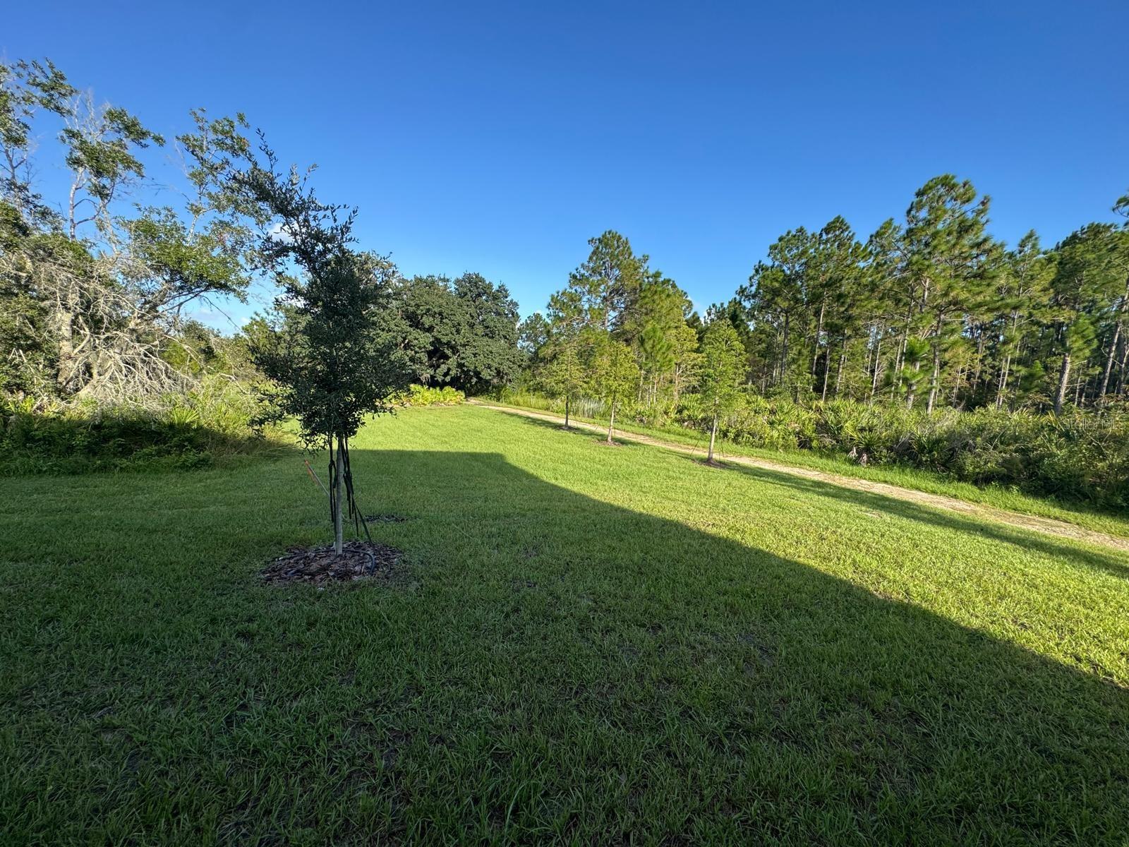 Image 33 of 35 For 4269 Ranch House Road