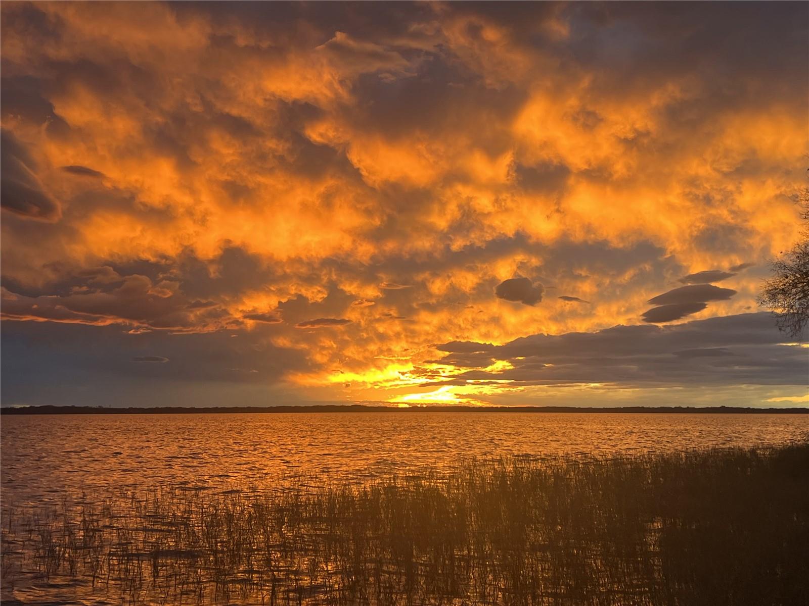 Image 61 of 61 For 30215 Redtree Drive