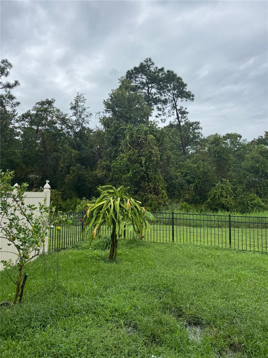 Image 36 of 38 For 14024 Waterford Creek Boulevard