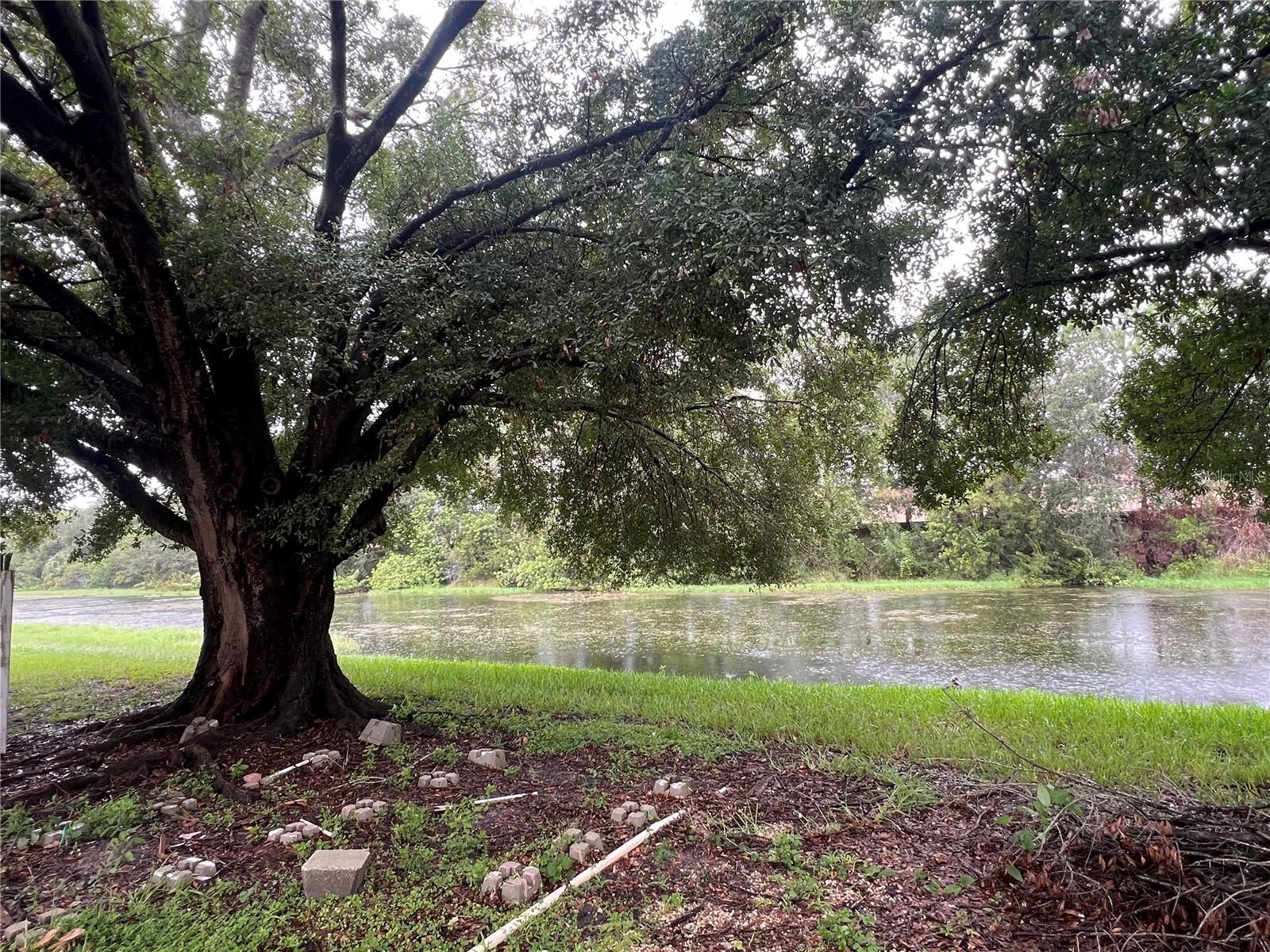 Image 18 of 21 For 1829 Snaresbrook Way