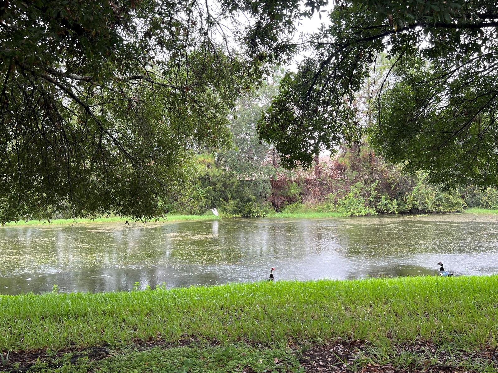 Image 19 of 21 For 1829 Snaresbrook Way