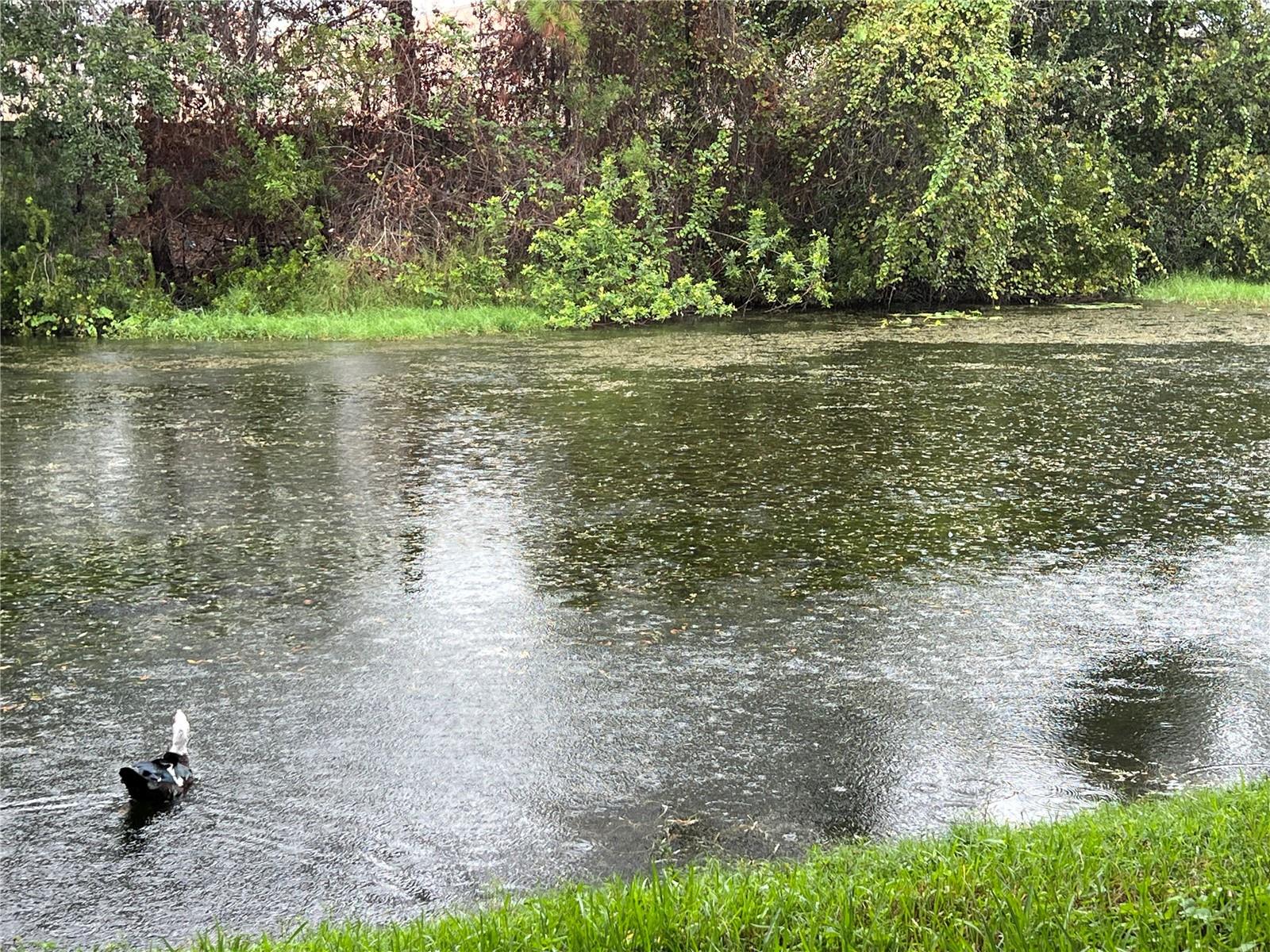 Image 20 of 21 For 1829 Snaresbrook Way