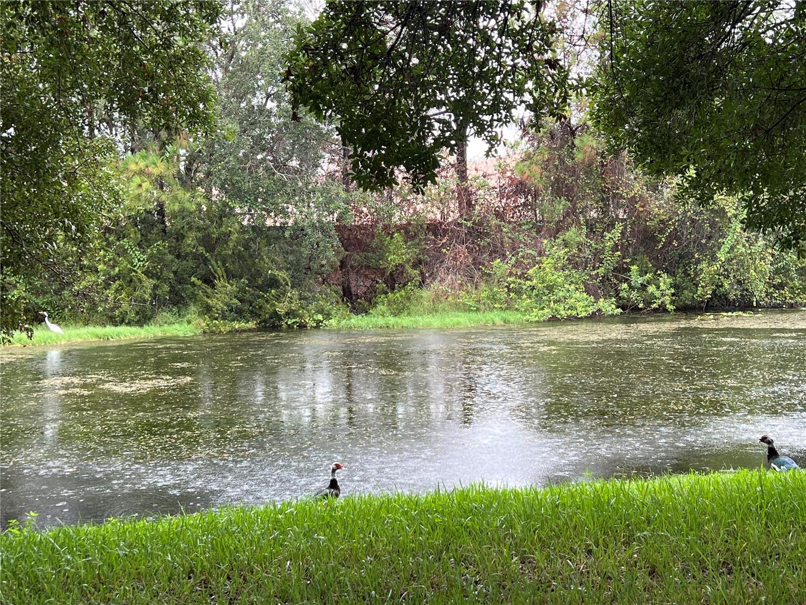 Image 21 of 21 For 1829 Snaresbrook Way