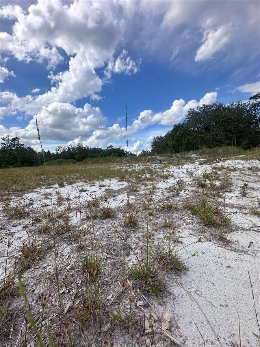 Image 7 of 11 For 2600 London Rd