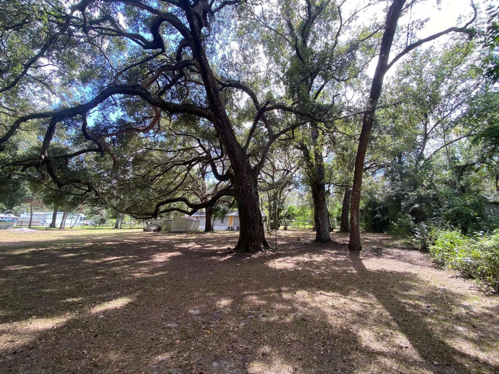 Image 29 of 33 For 19429 Mccloy Circle