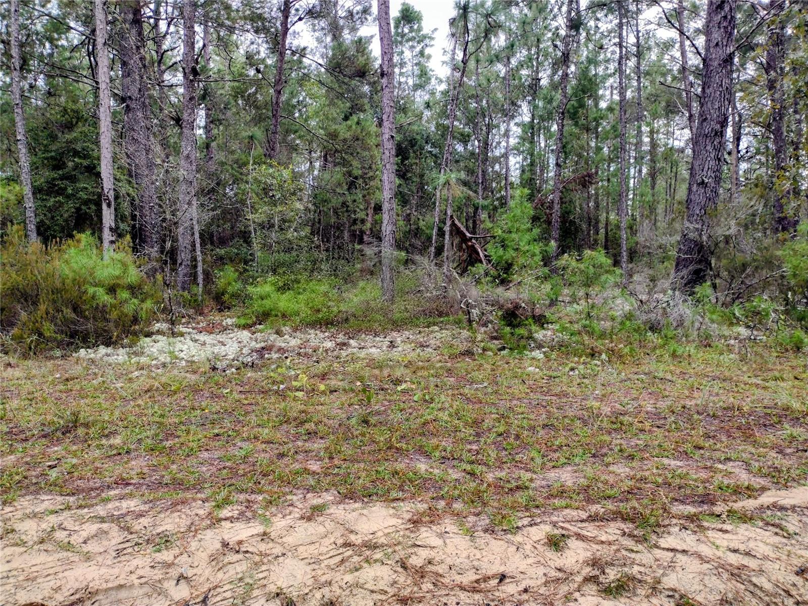 Details for 165 7th Way , INTERLACHEN, FL 32148