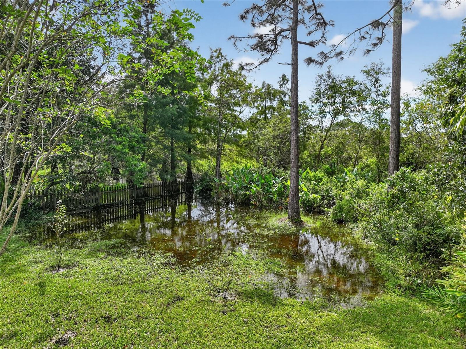 Image 48 of 60 For 1006 Ragsdale Road