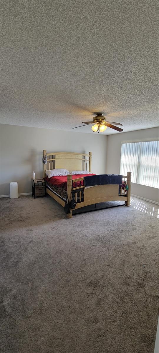 Image 11 of 13 For 4574 Ficus Tree Road N