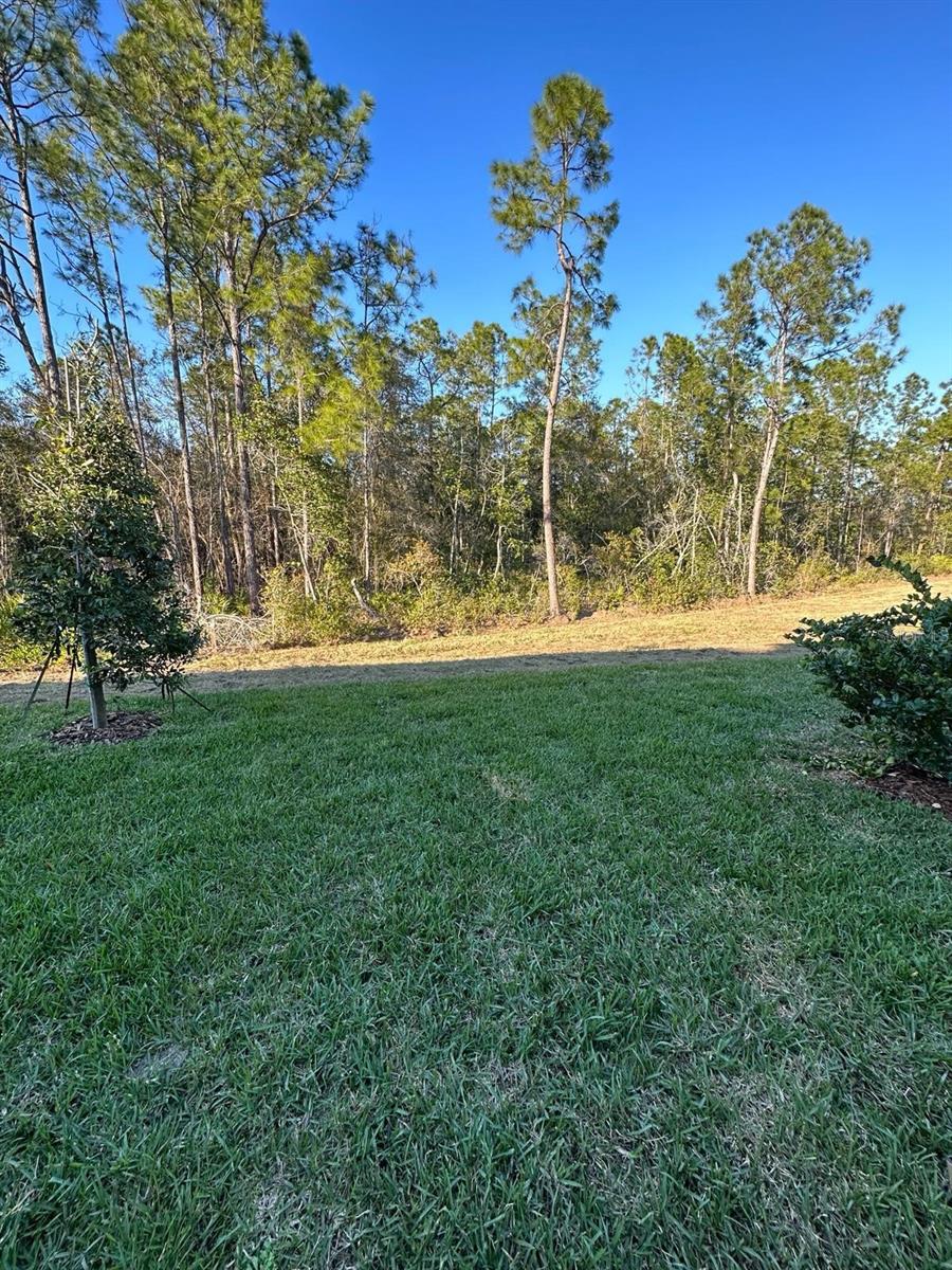 Image 5 of 19 For 3587 Davenport Creek Court