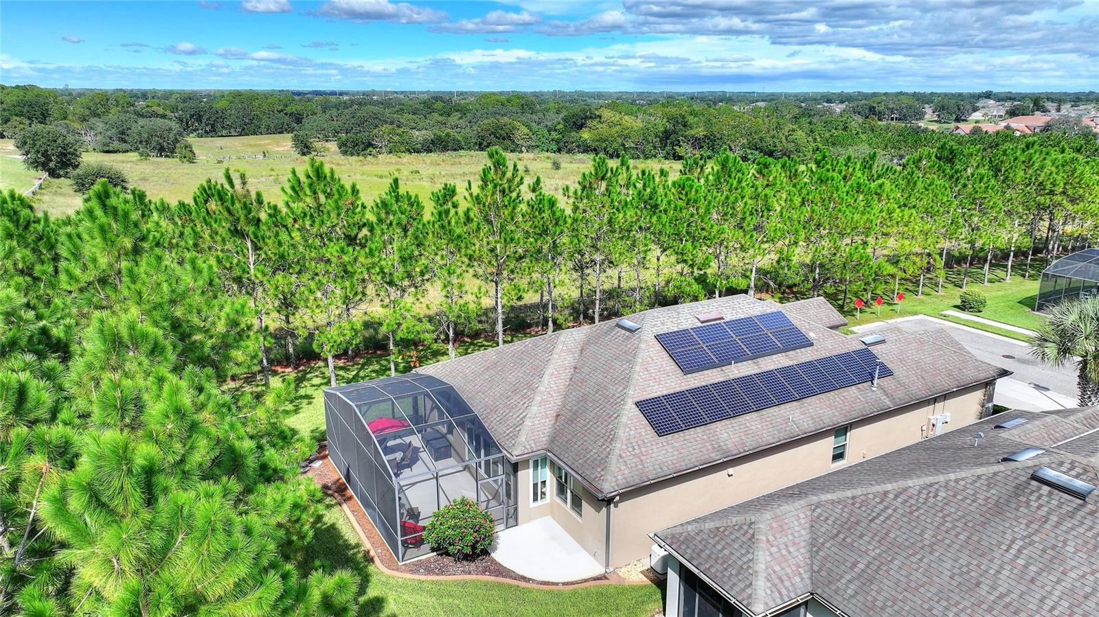 Image 37 of 74 For 451 Palencia Place