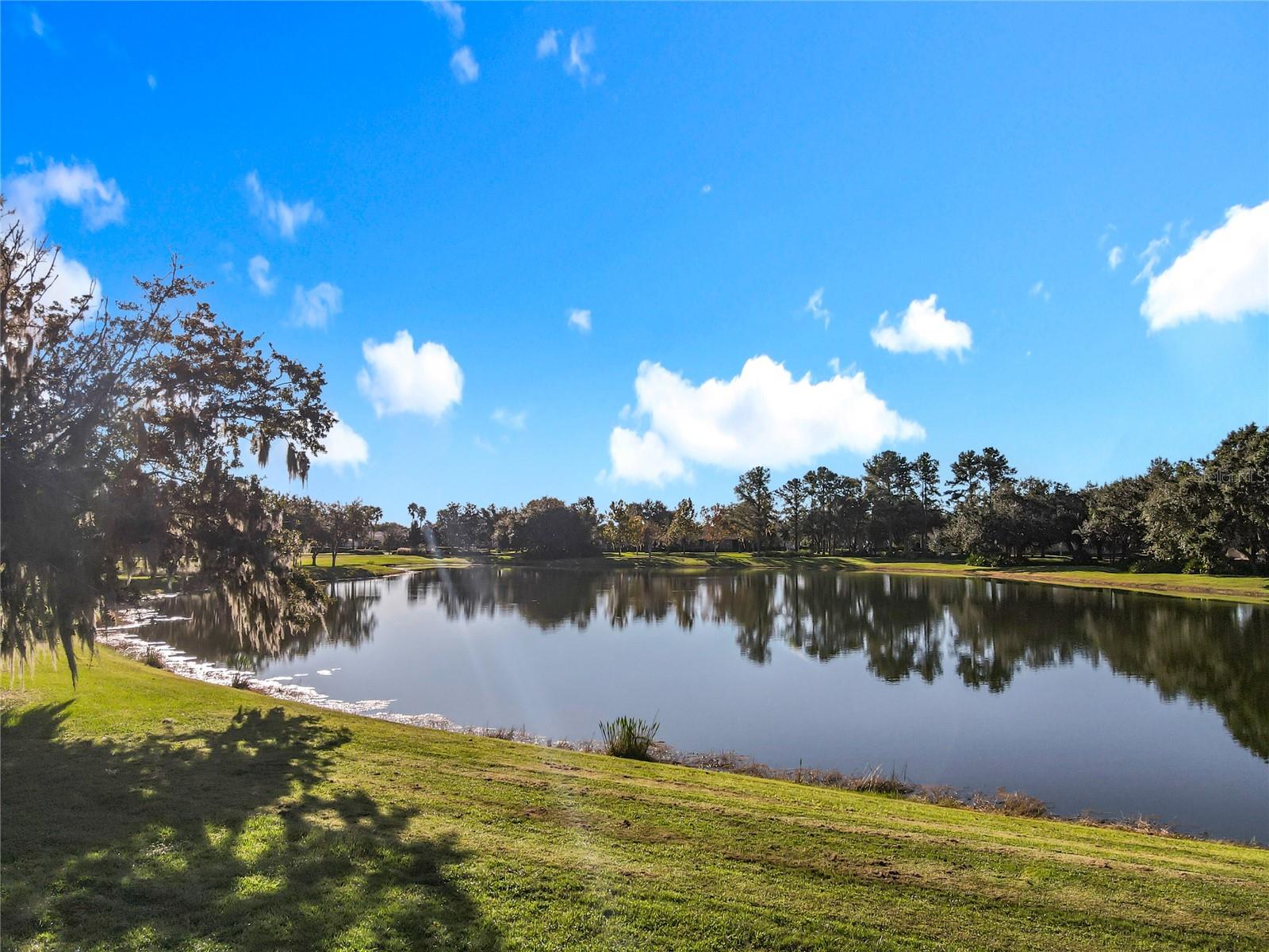 Image 4 of 75 For 502 Treviso Drive