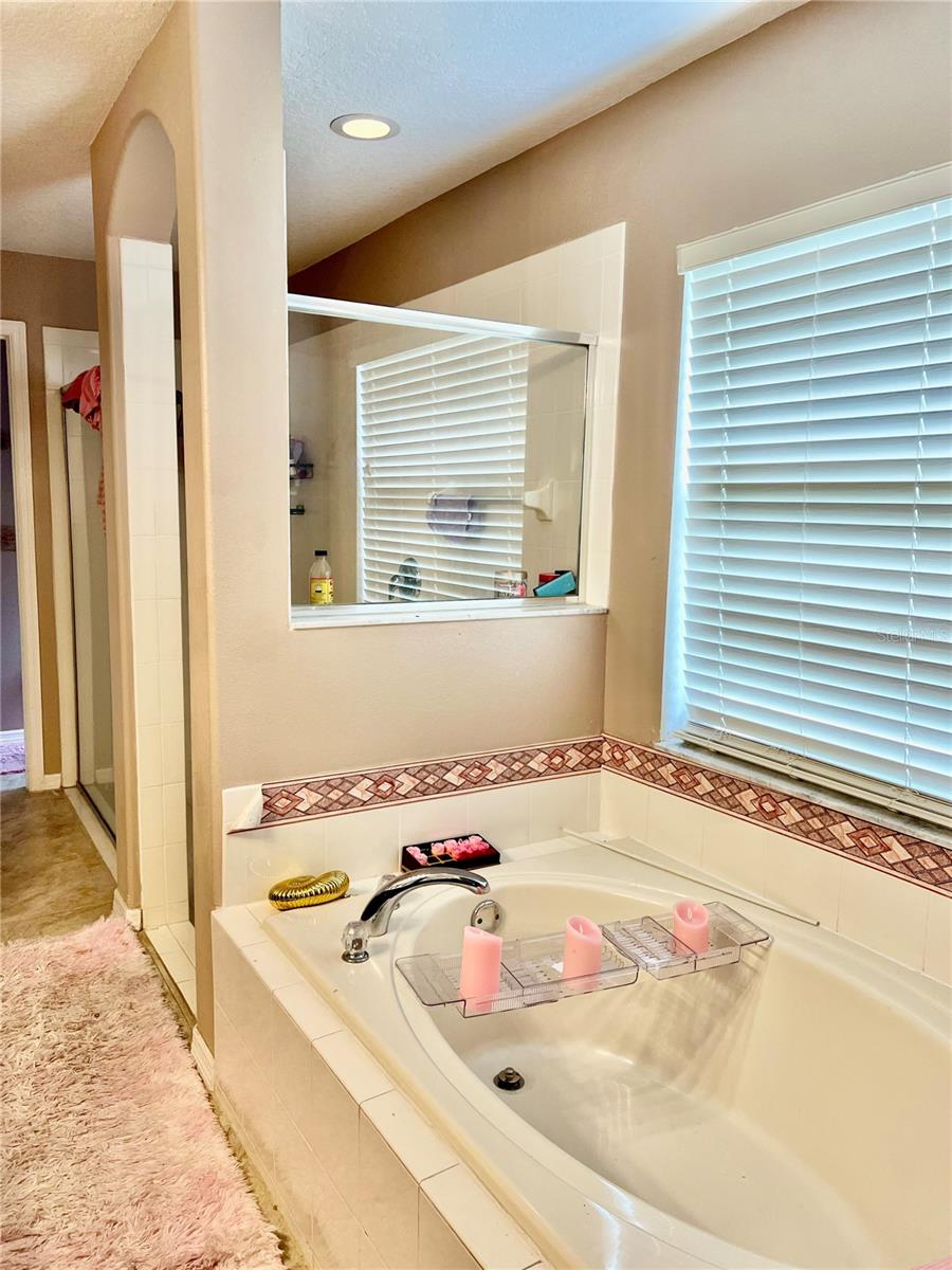 Image 32 of 37 For 4637 Huron Bay Circle