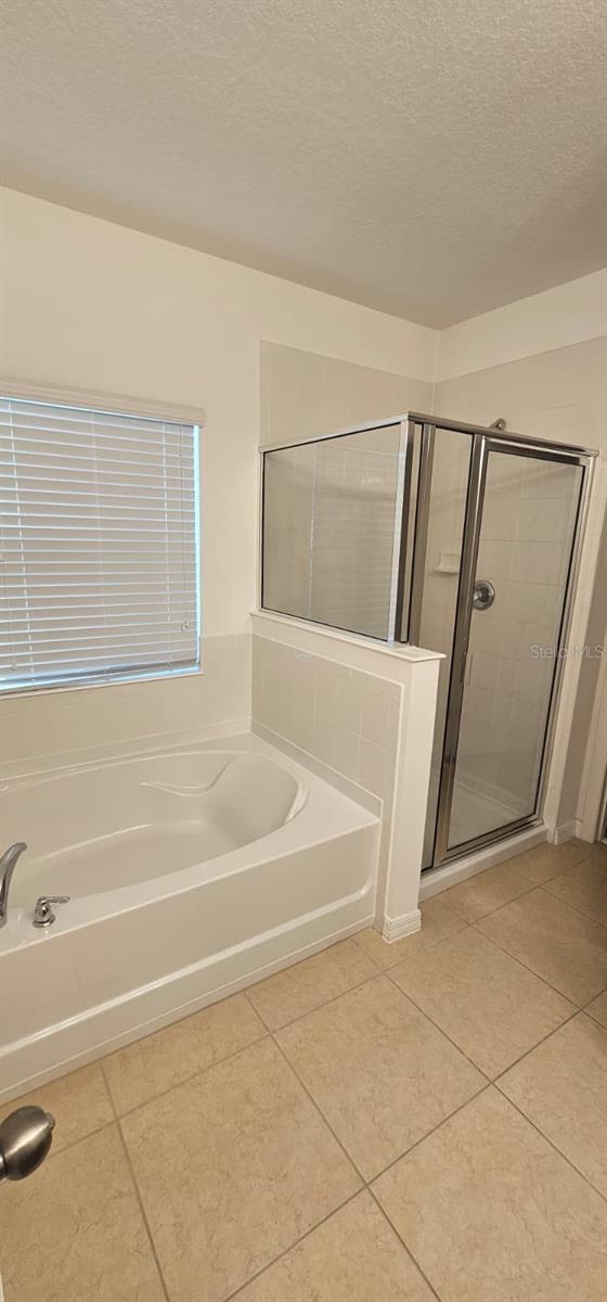 Image 9 of 17 For 279 Williamson Drive