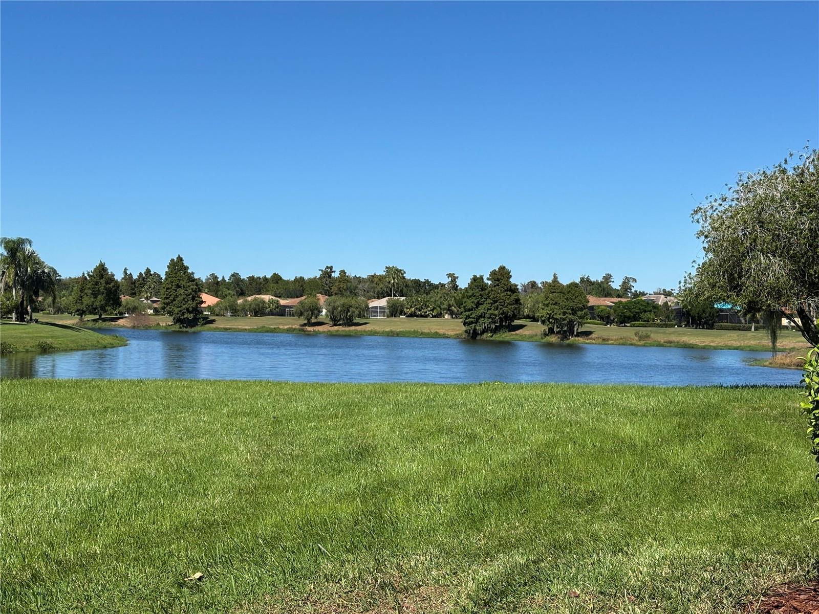 Image 39 of 41 For 113 Tivoli Trace Ct