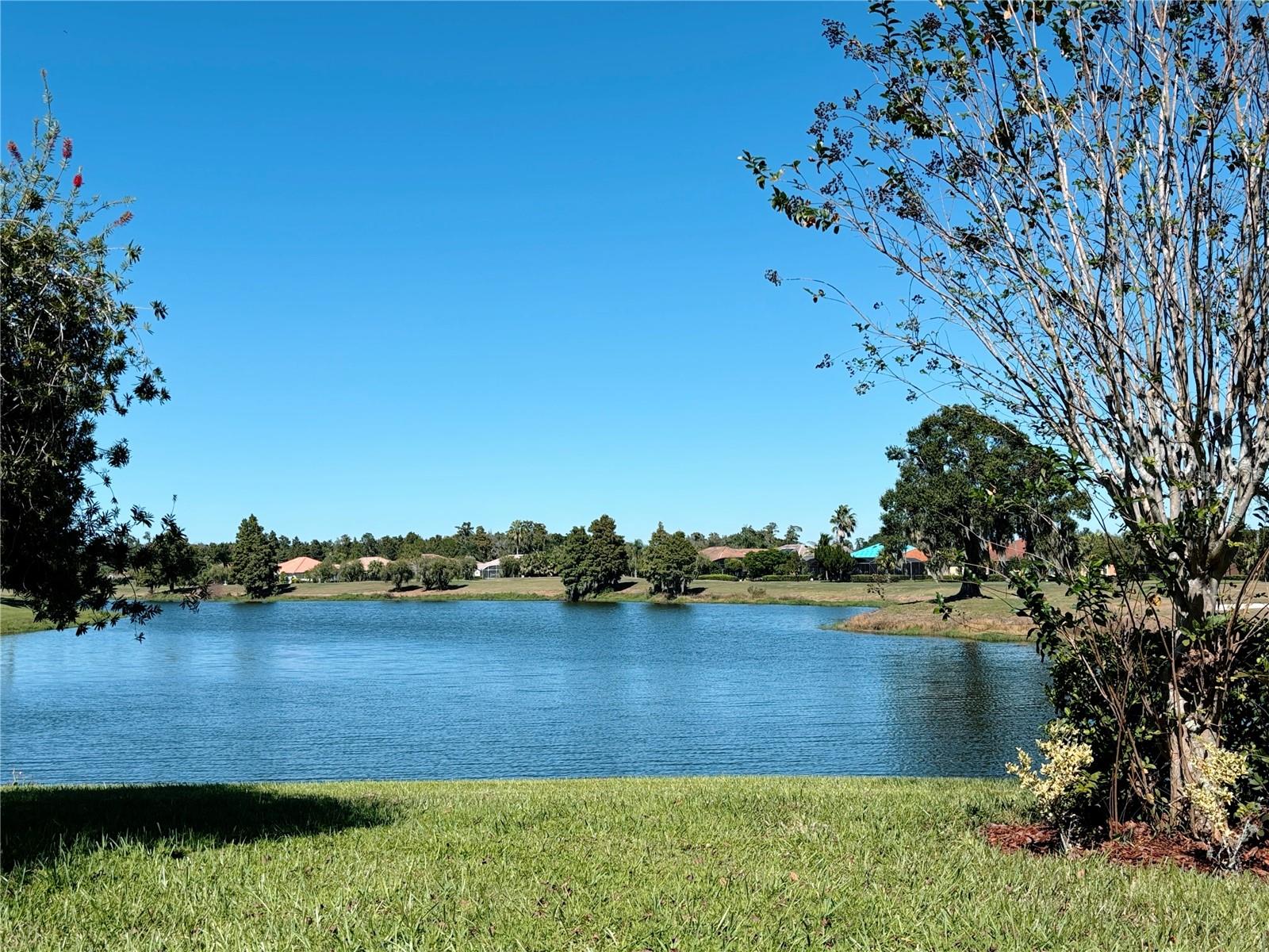 Image 40 of 41 For 113 Tivoli Trace Ct